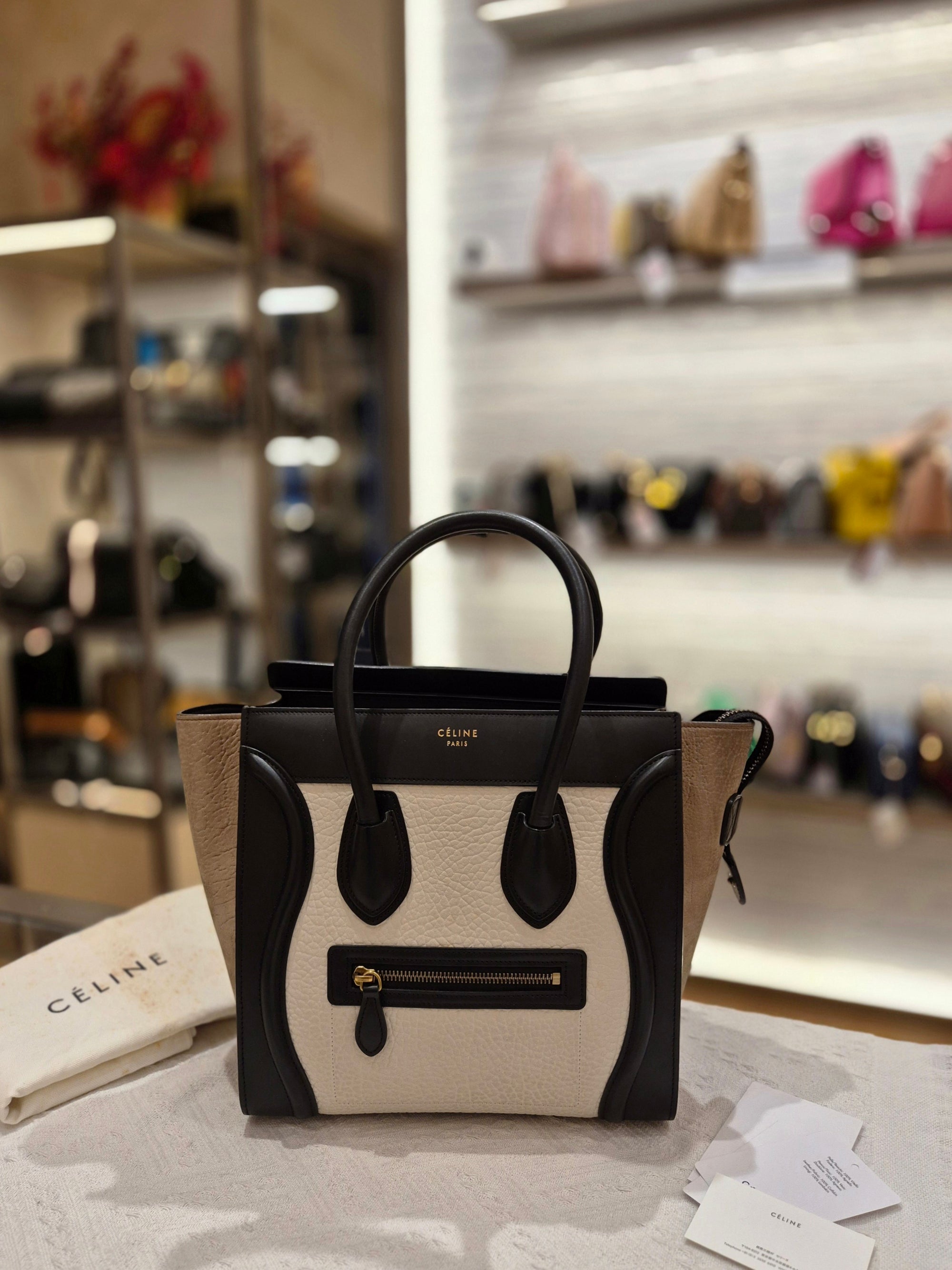 Celine Lugage Micro Multi Colour