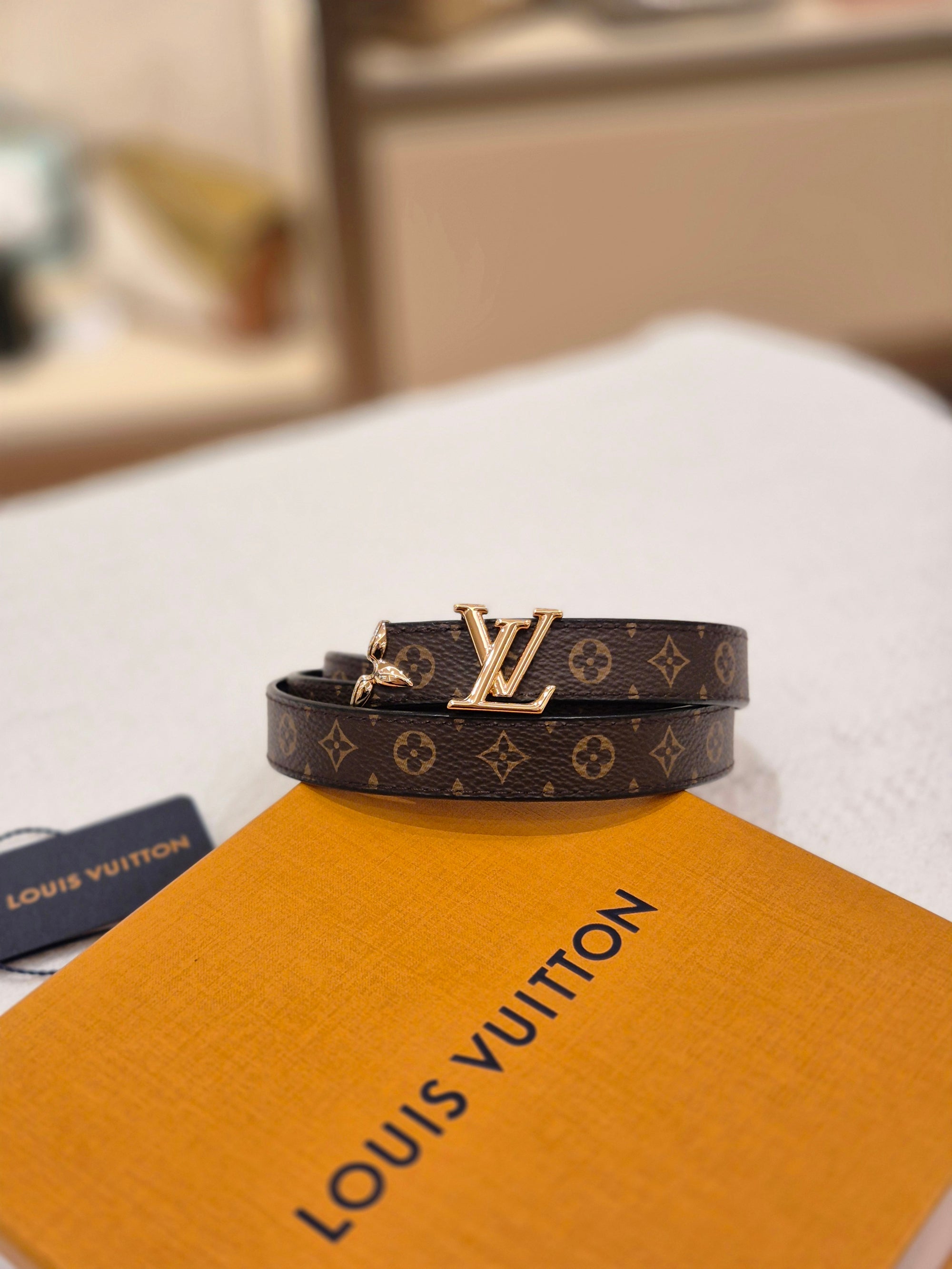 Louis Vuitton Belt Monogram