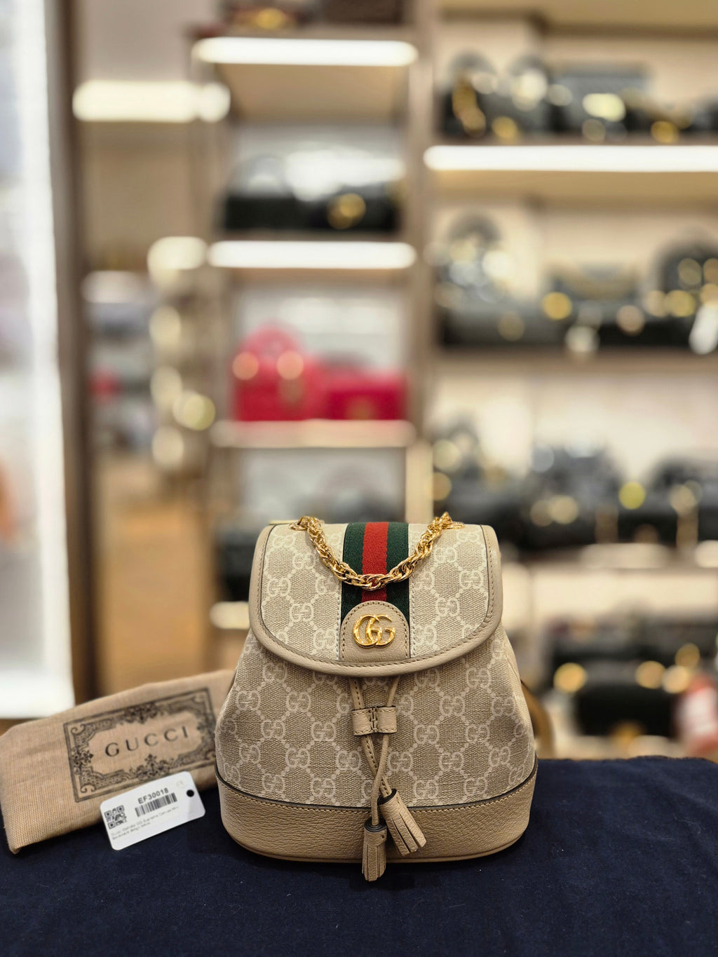 Gucci Backpack Monogram