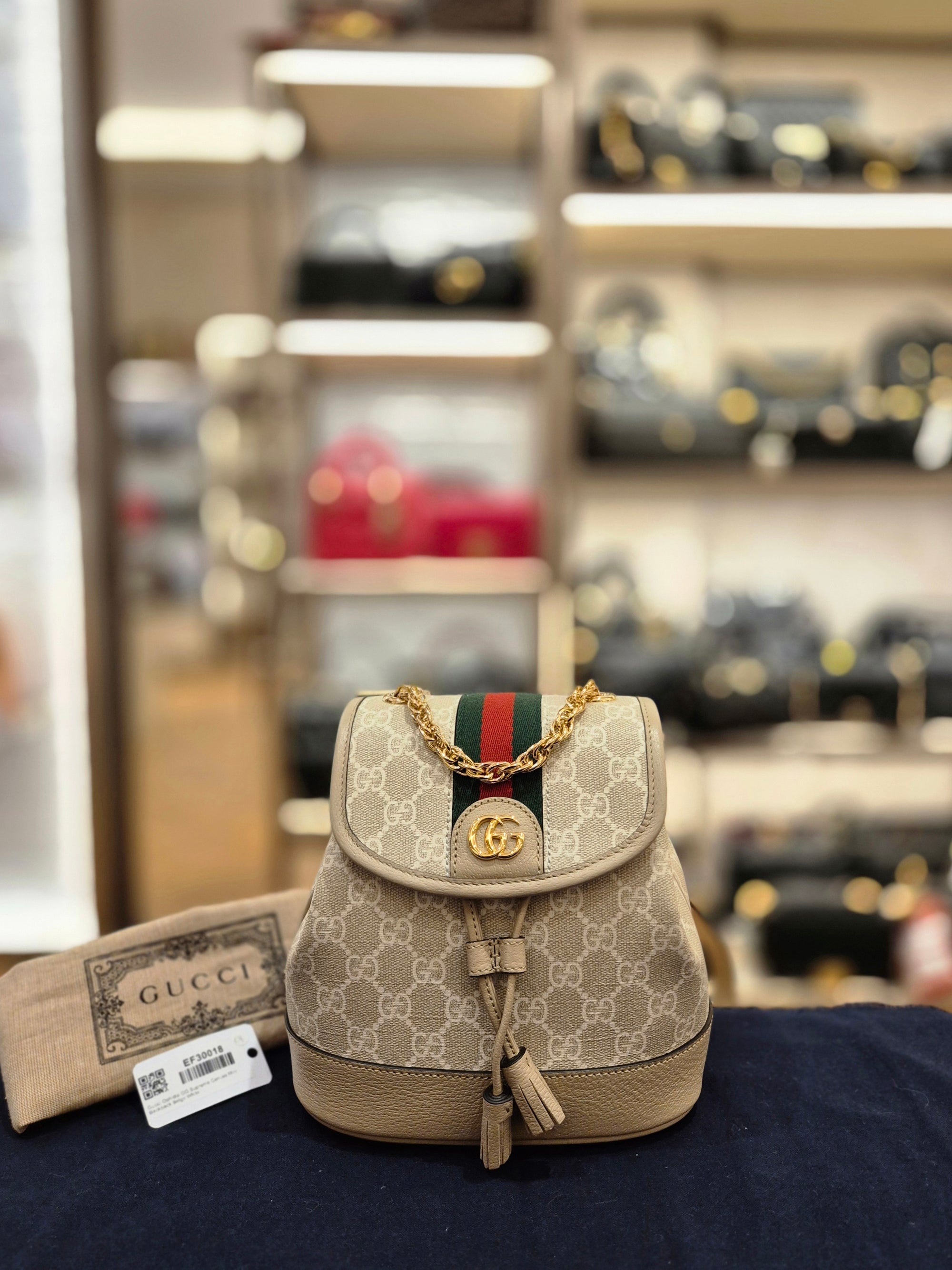 Gucci Backpack Monogram