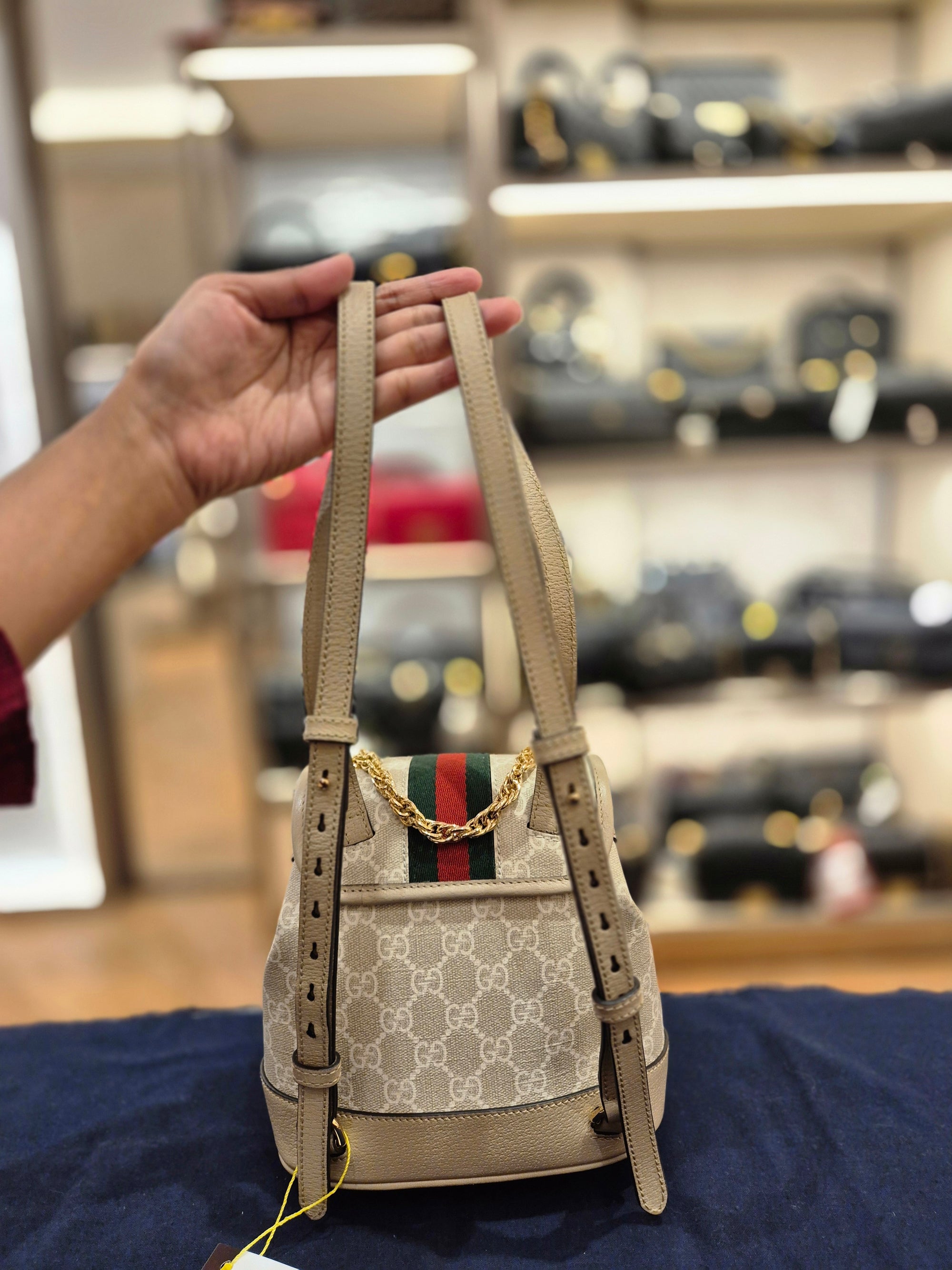 Gucci Backpack Monogram