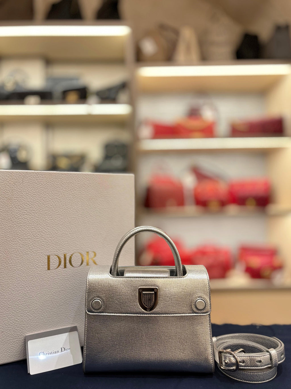 Diorever Mini Top Handle SIlver