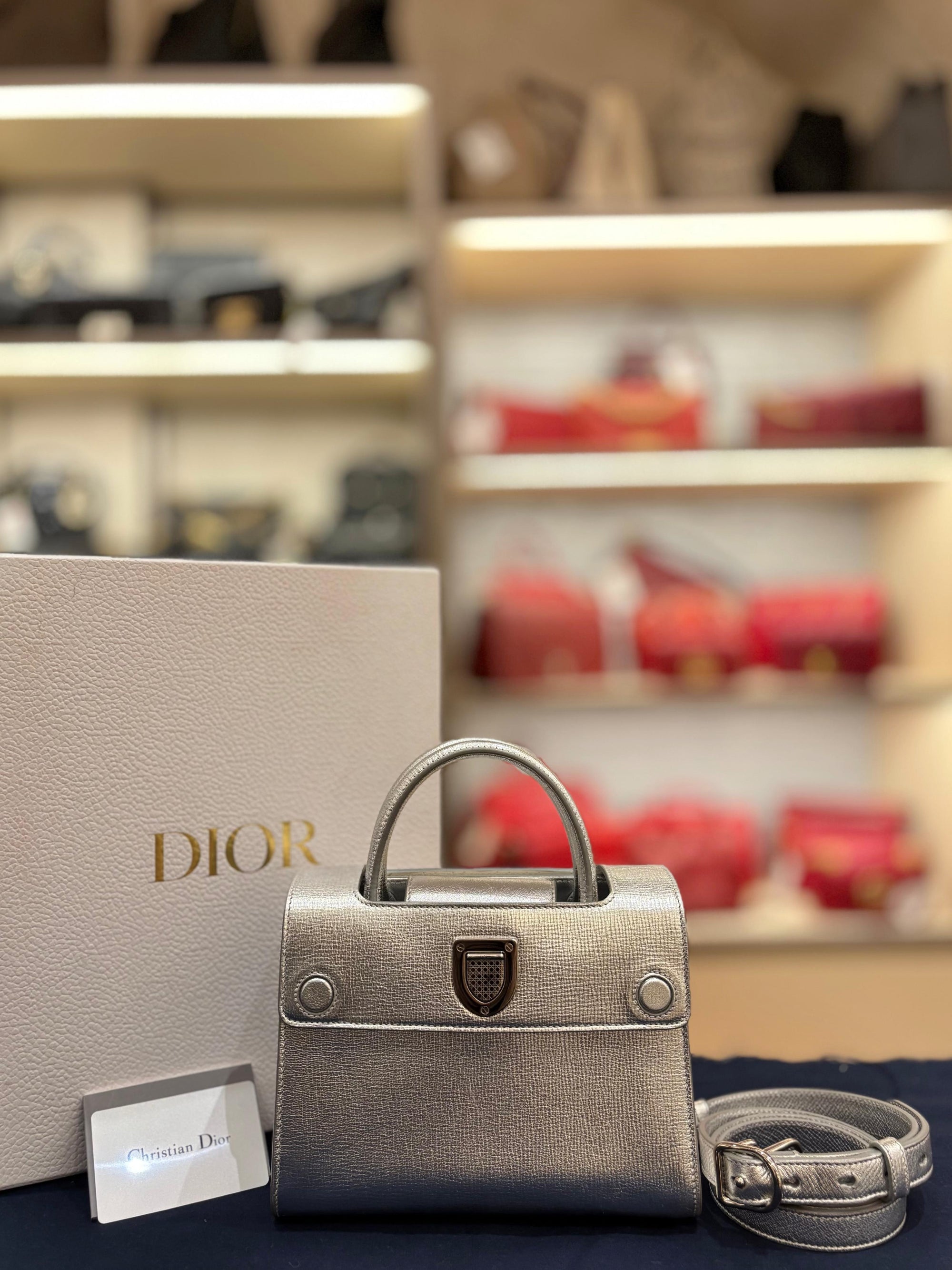 Diorever Mini Top Handle SIlver