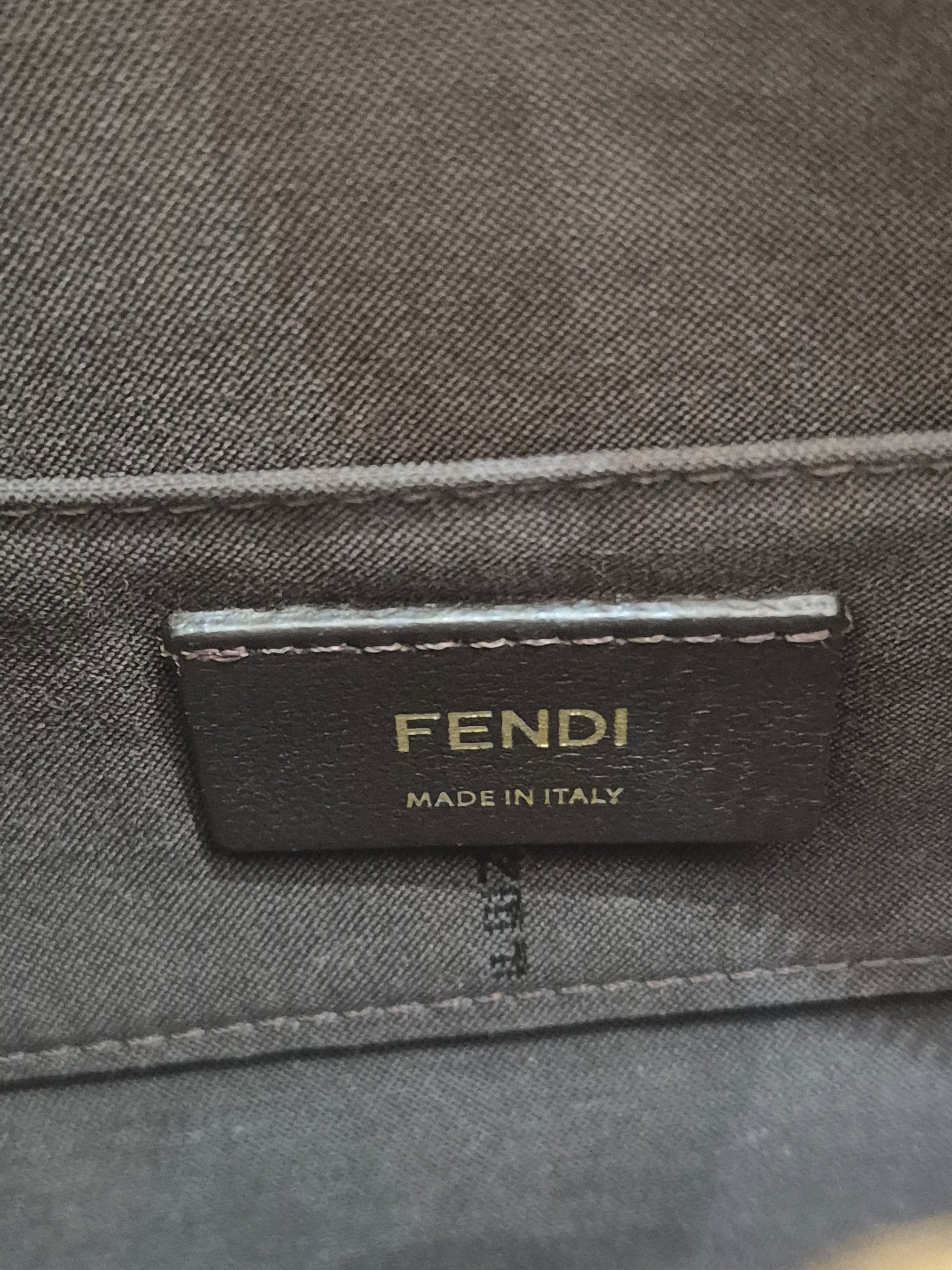 Fendi Camera Bag FF