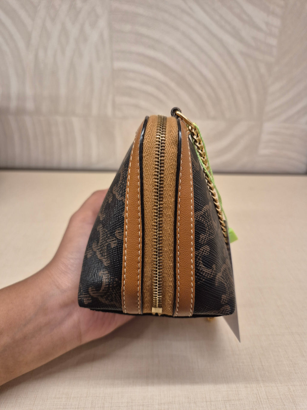 Celine Mini Pouch Triomph Crossbody