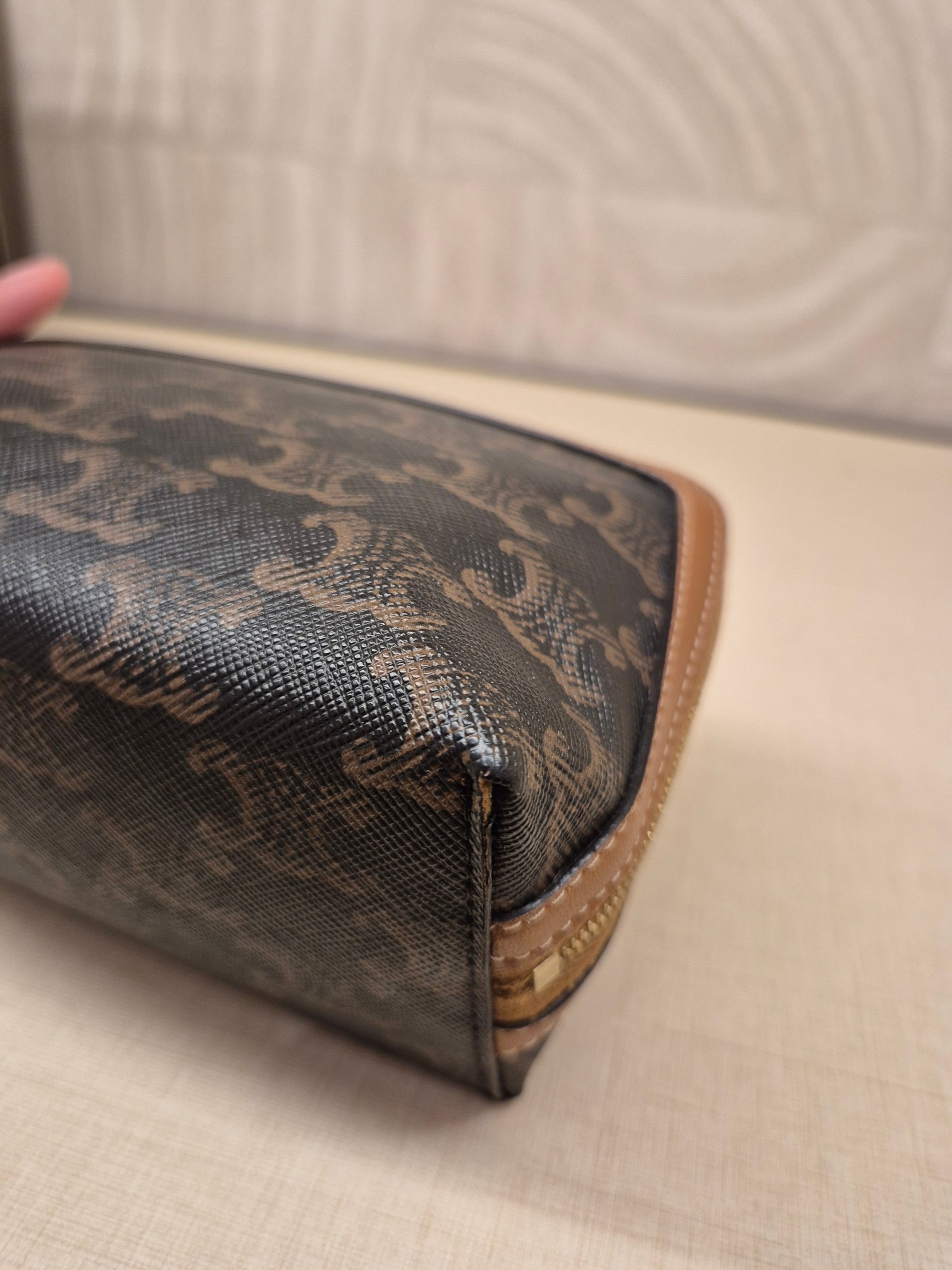 Celine Mini Pouch Triomph Crossbody