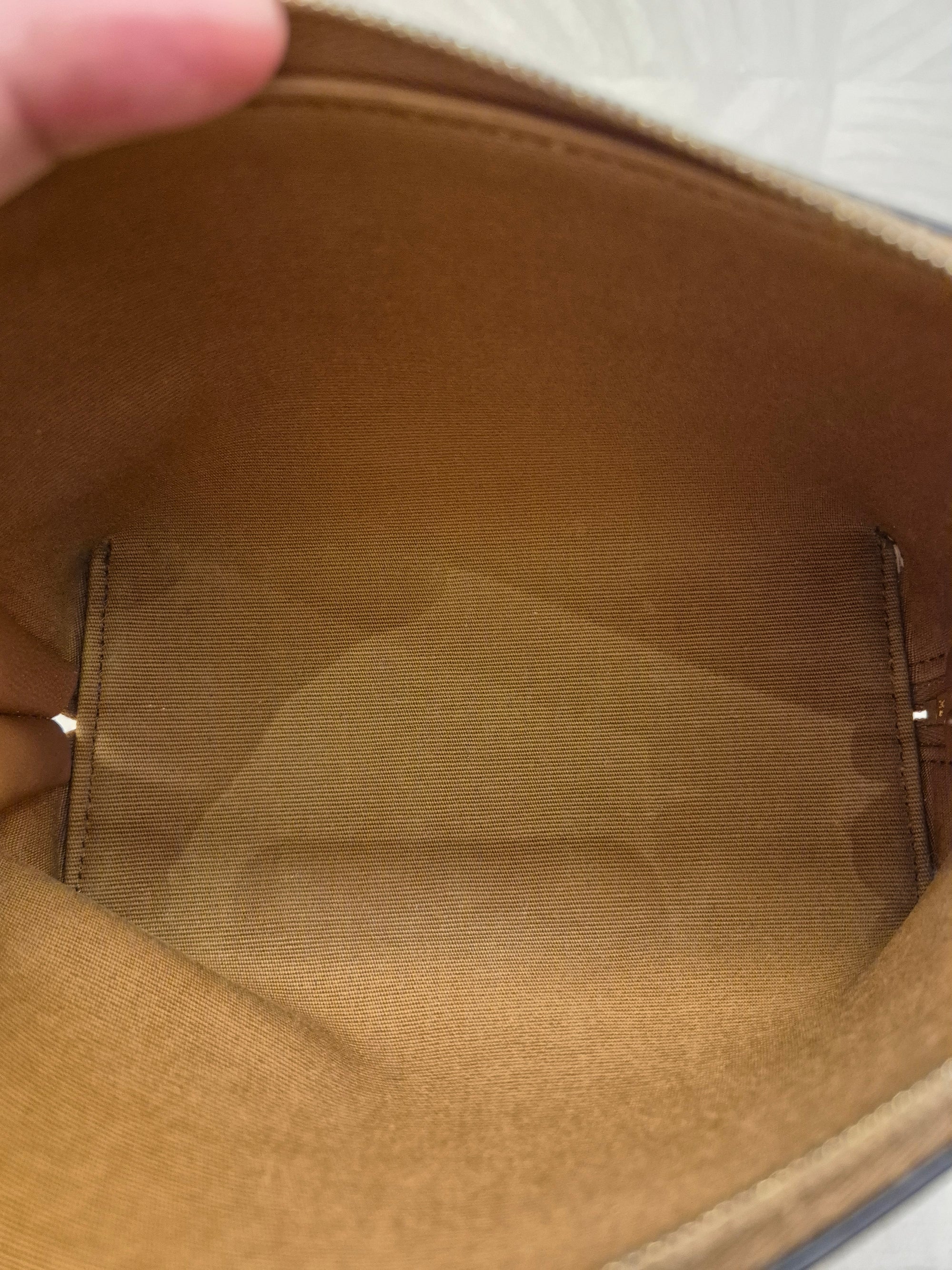 Celine Mini Pouch Triomph Crossbody