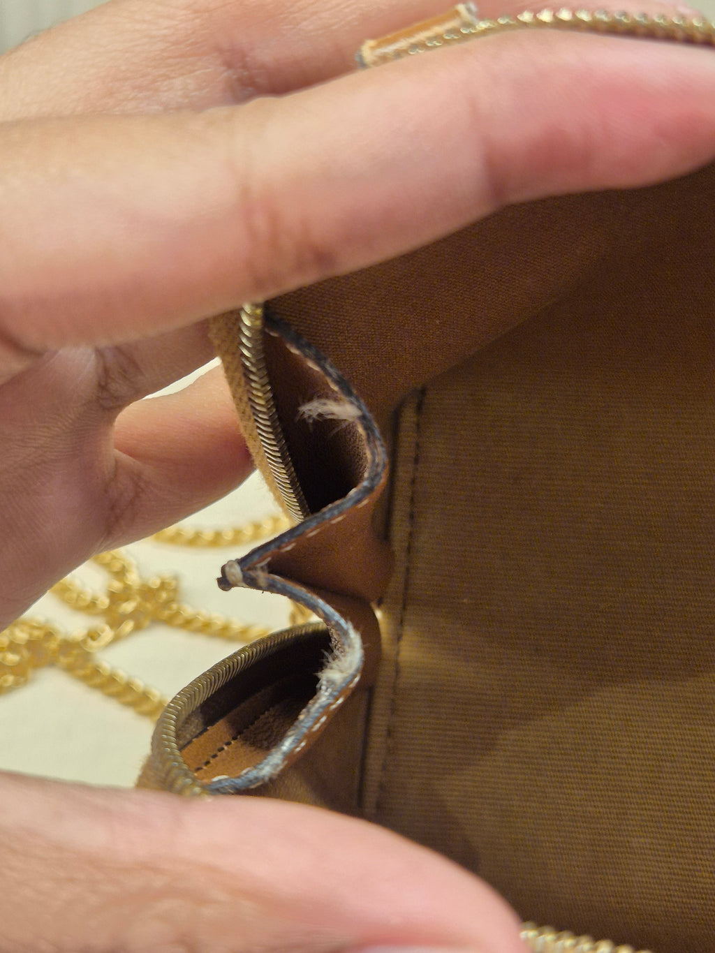 Celine Mini Pouch Triomph Crossbody