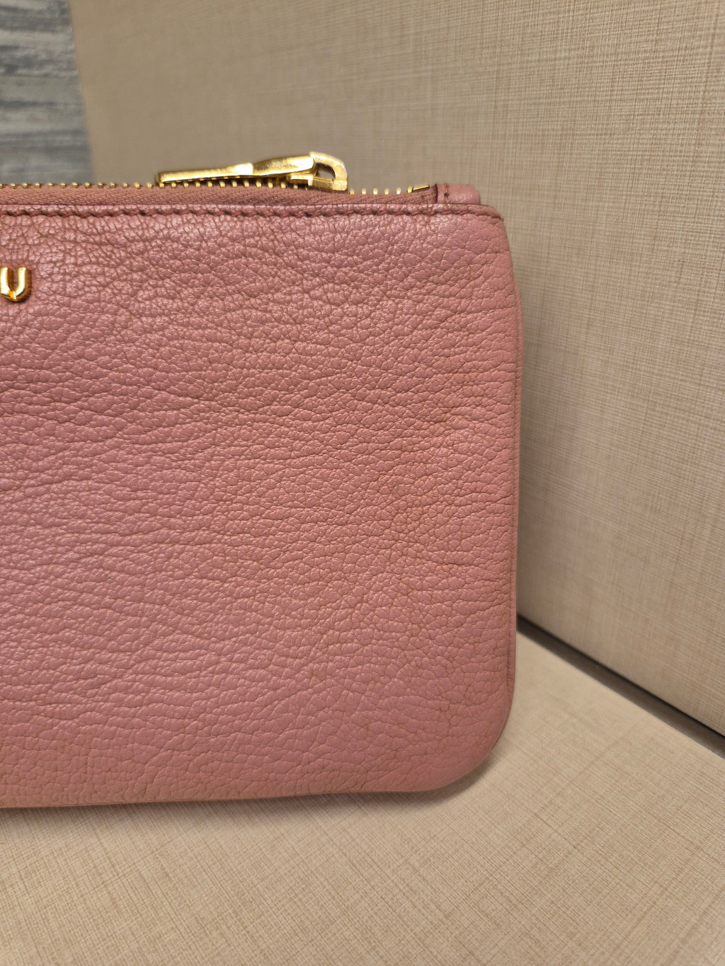 Miu Miu Mini Crosbody