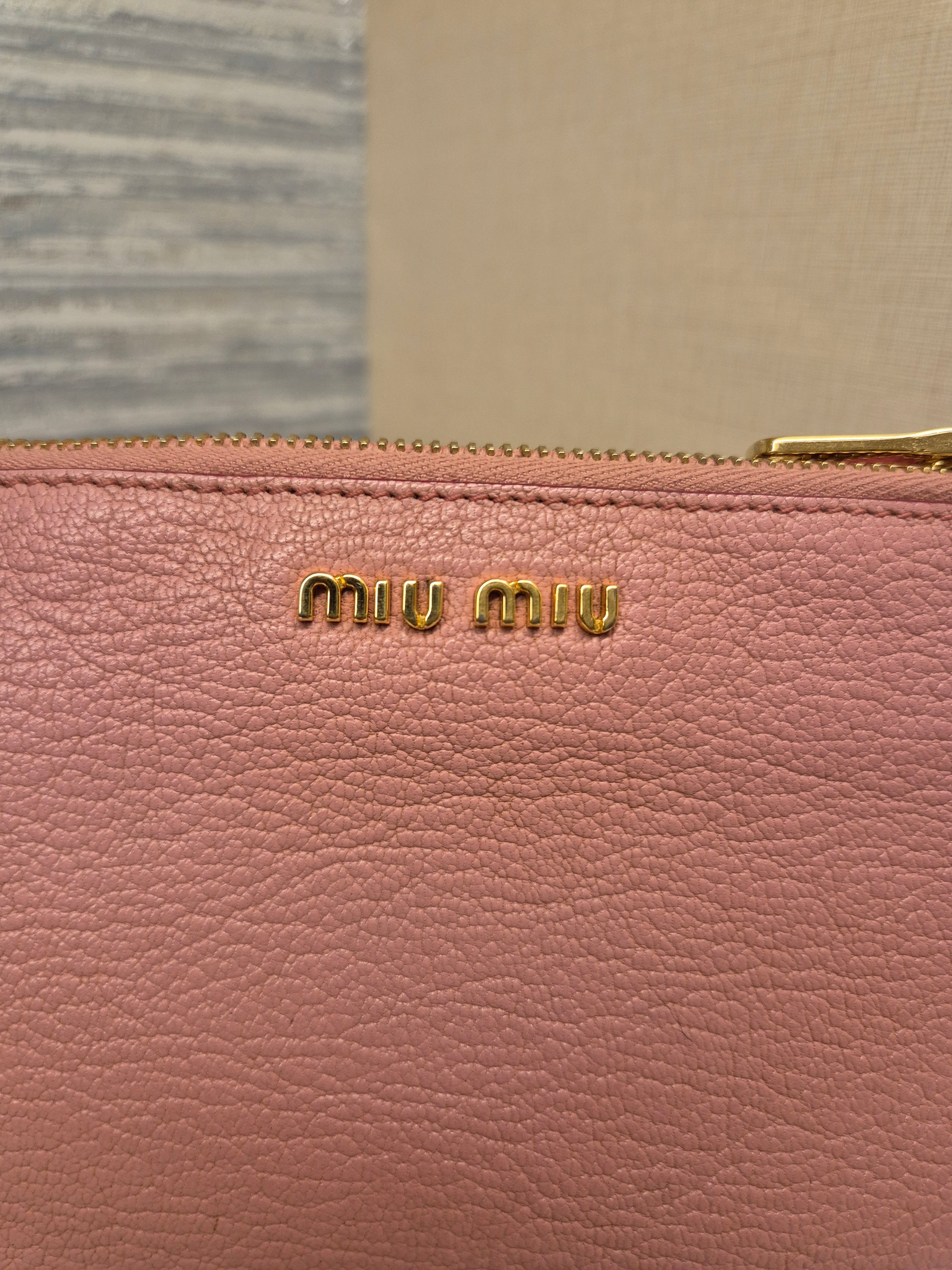 Miu Miu Mini Crosbody