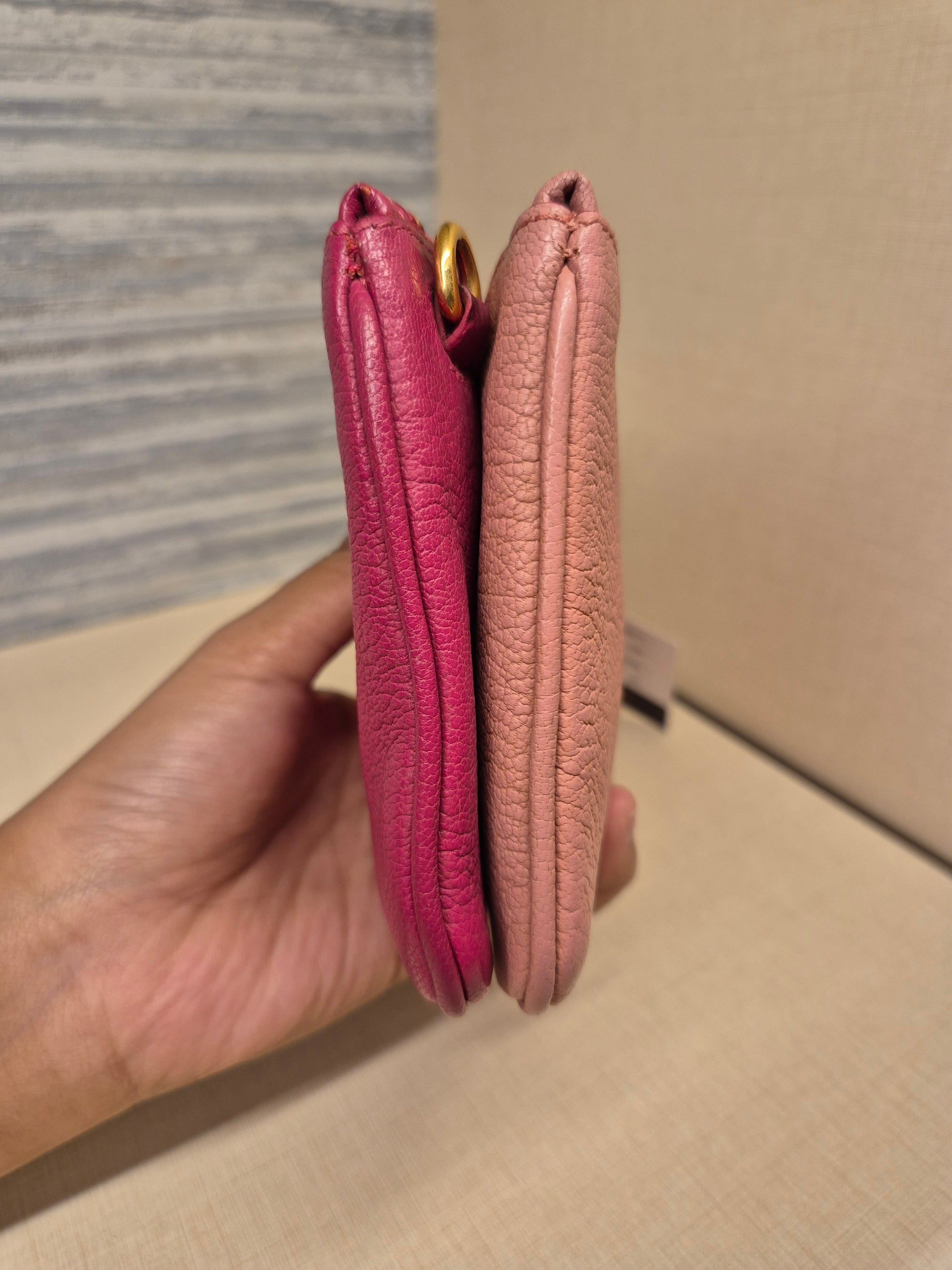 Miu Miu Mini Crosbody