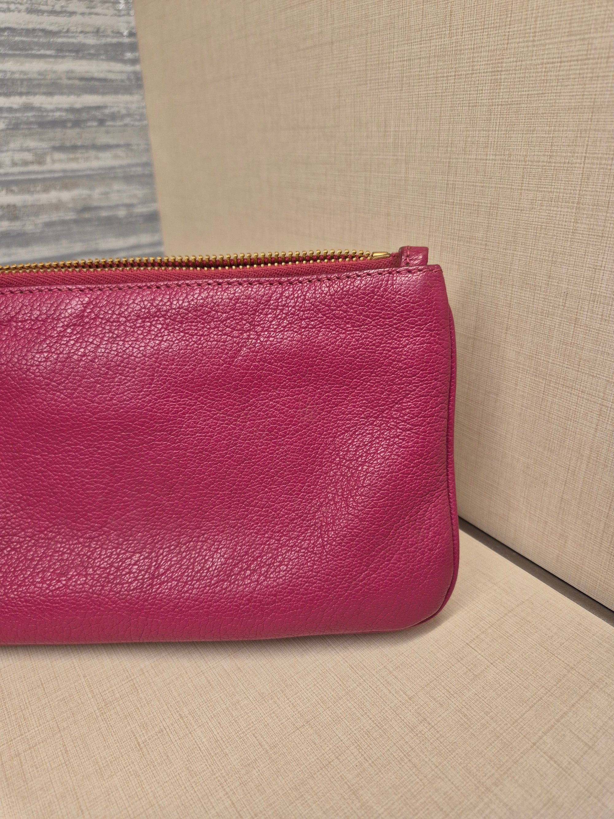 Miu Miu Mini Crosbody