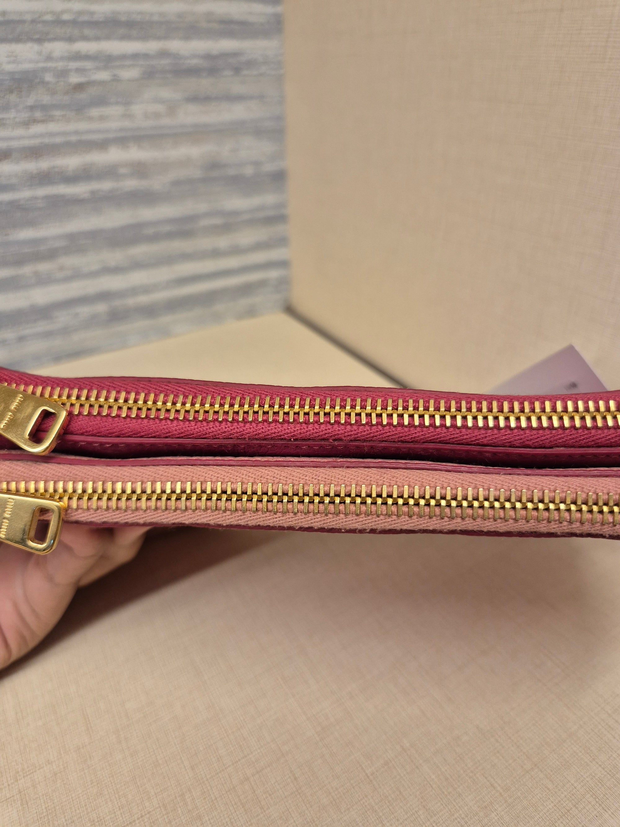 Miu Miu Mini Crosbody