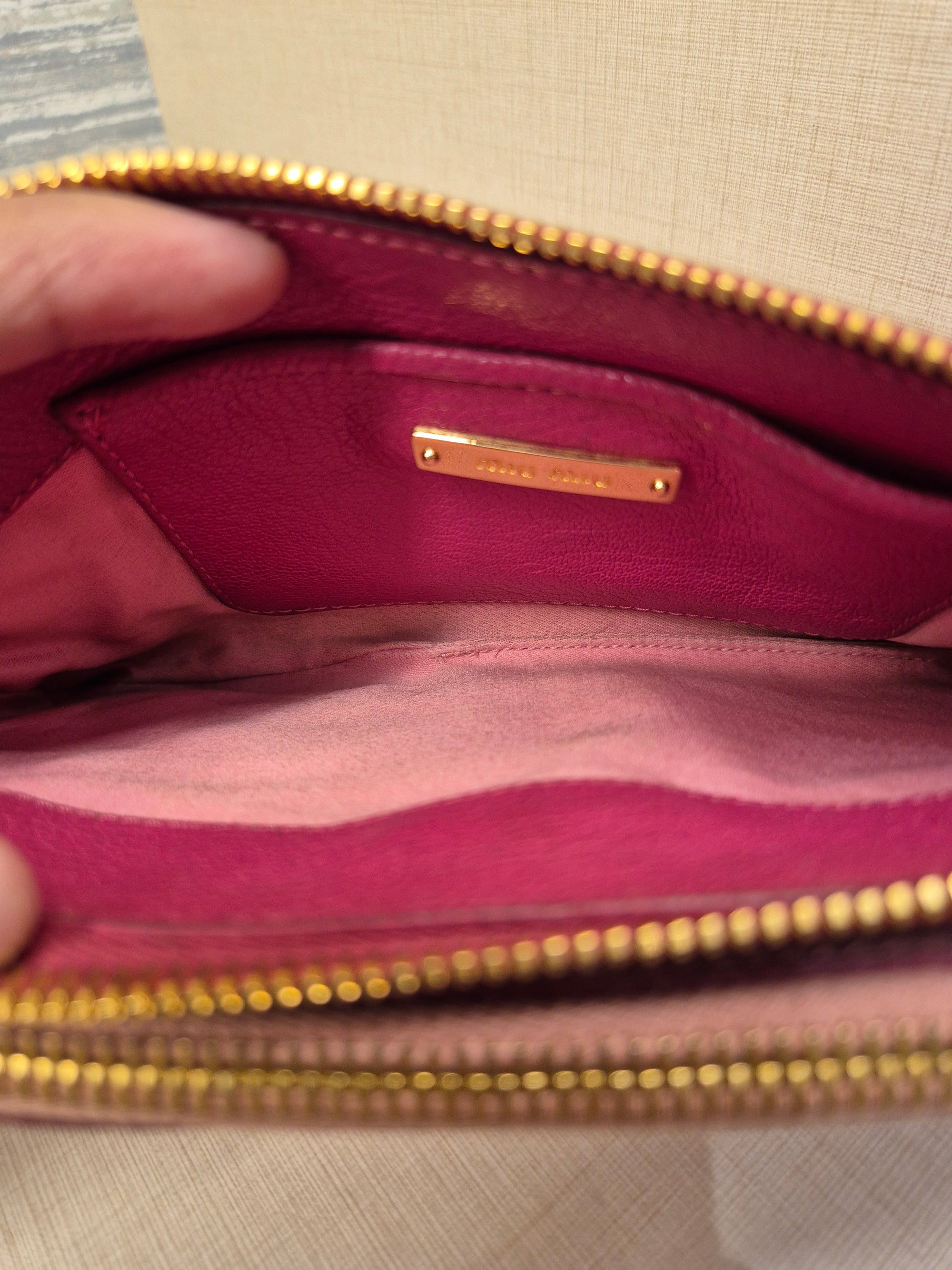 Miu Miu Mini Crosbody