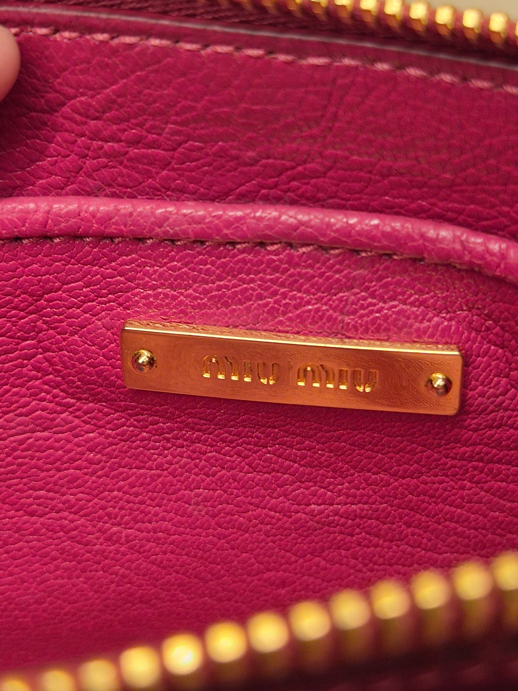 Miu Miu Mini Crosbody