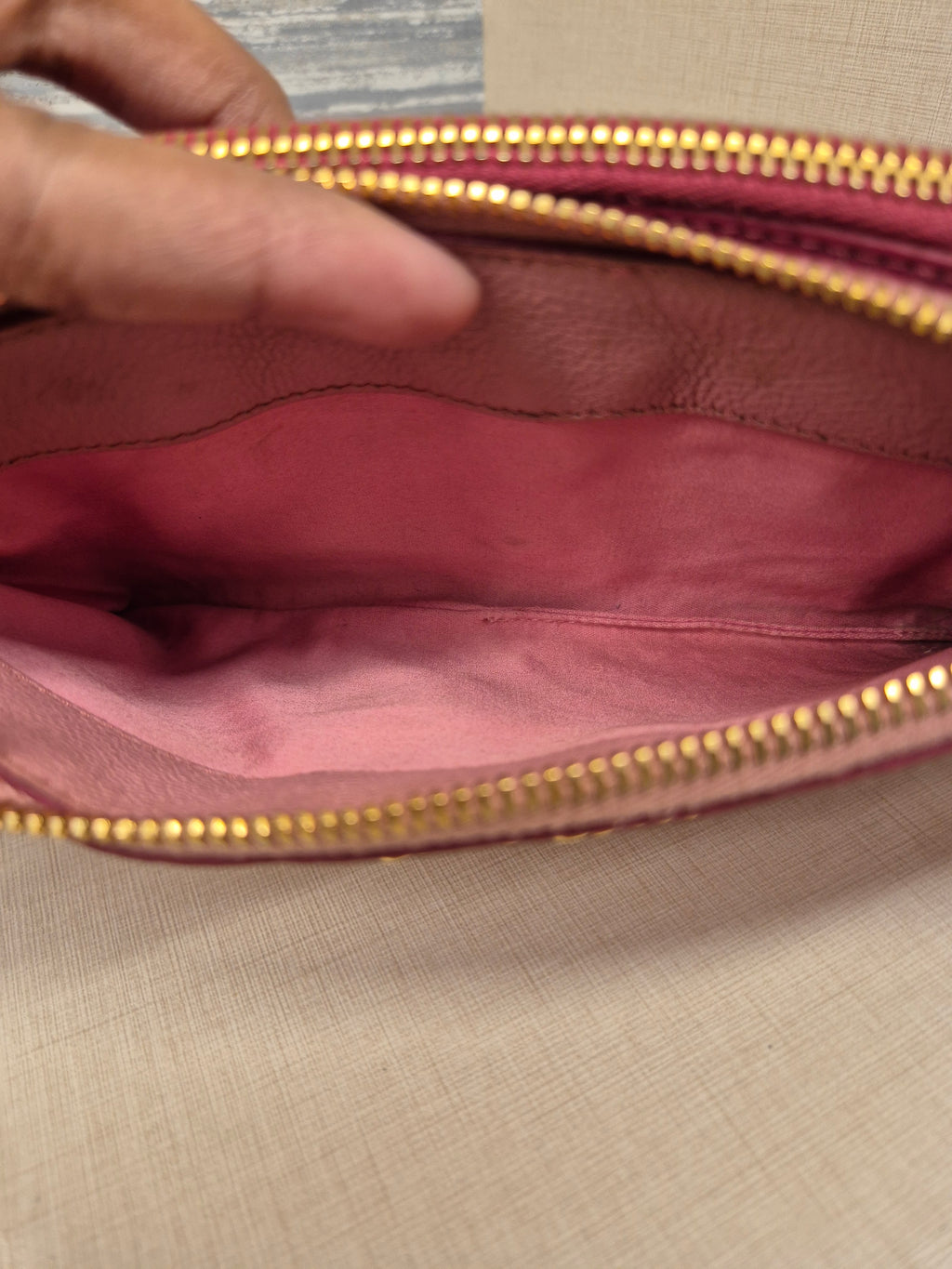 Miu Miu Mini Crosbody