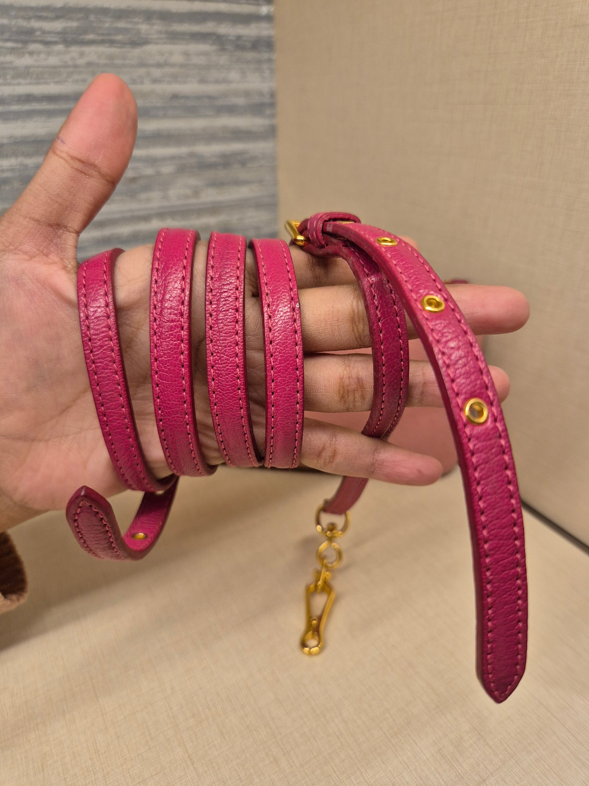 Miu Miu Mini Crosbody