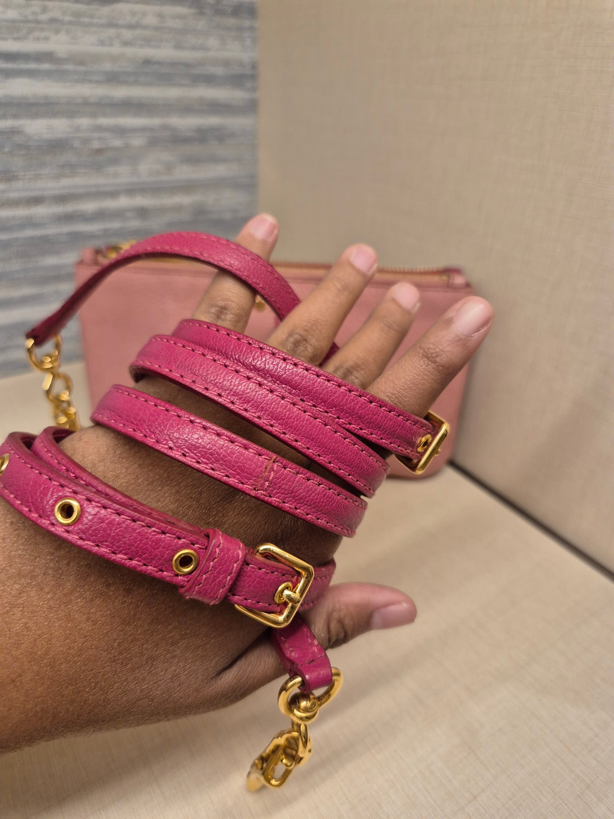 Miu Miu Mini Crosbody