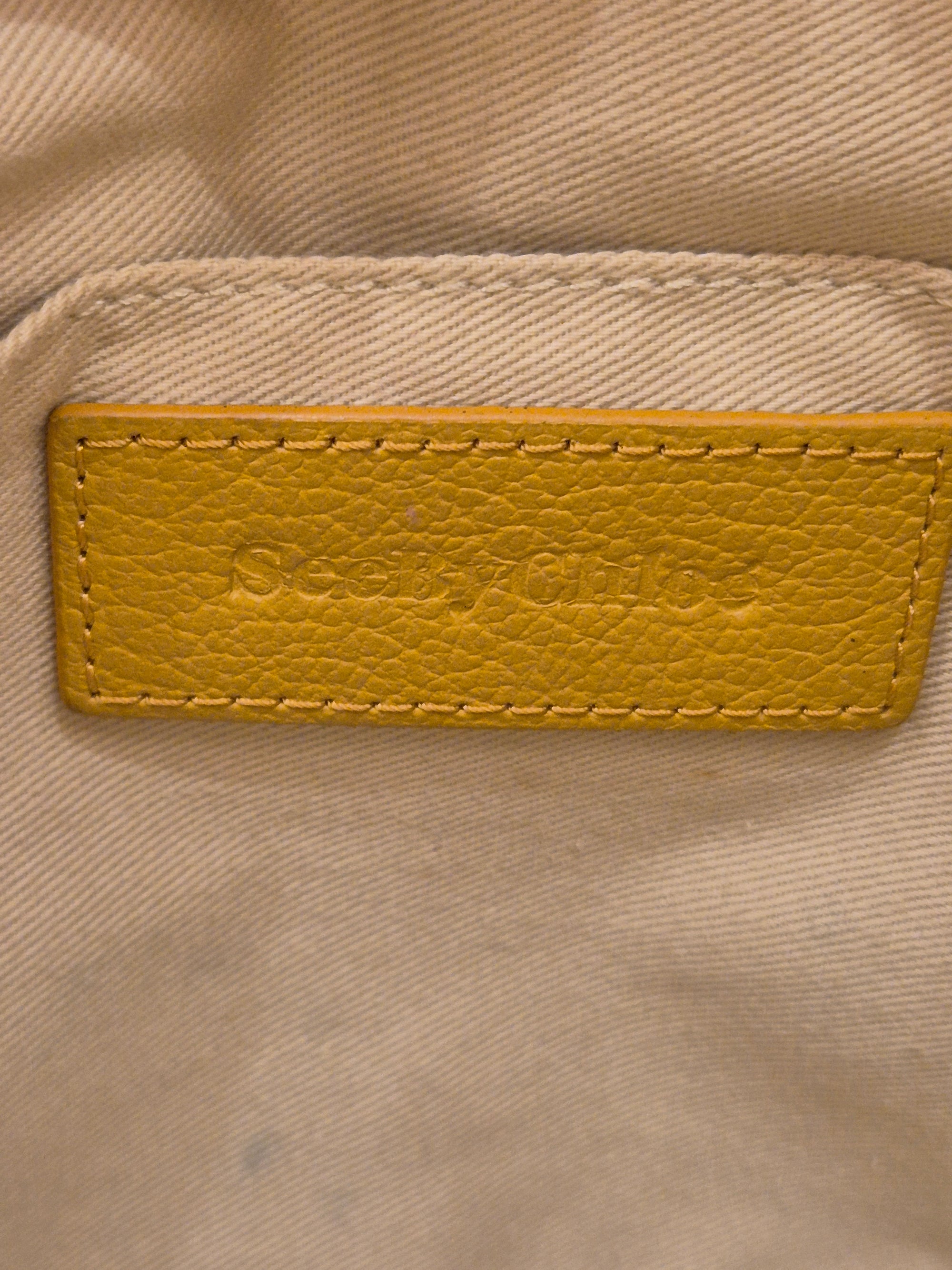 Chloe Hana Crossbody