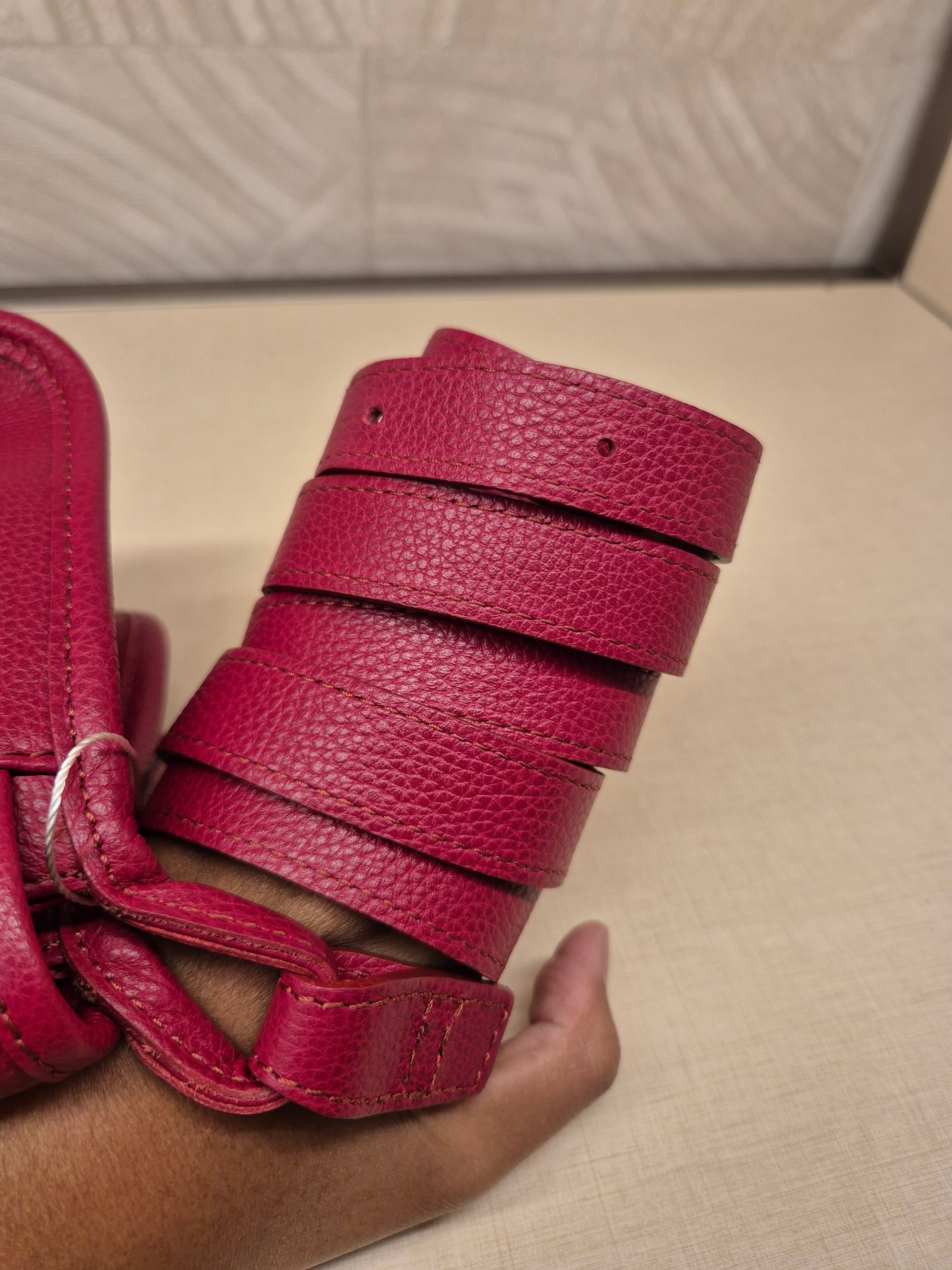 Longchamp Crossbody Red