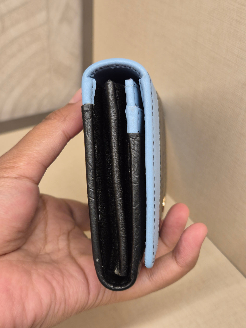 Braun Buffel Long Wallet