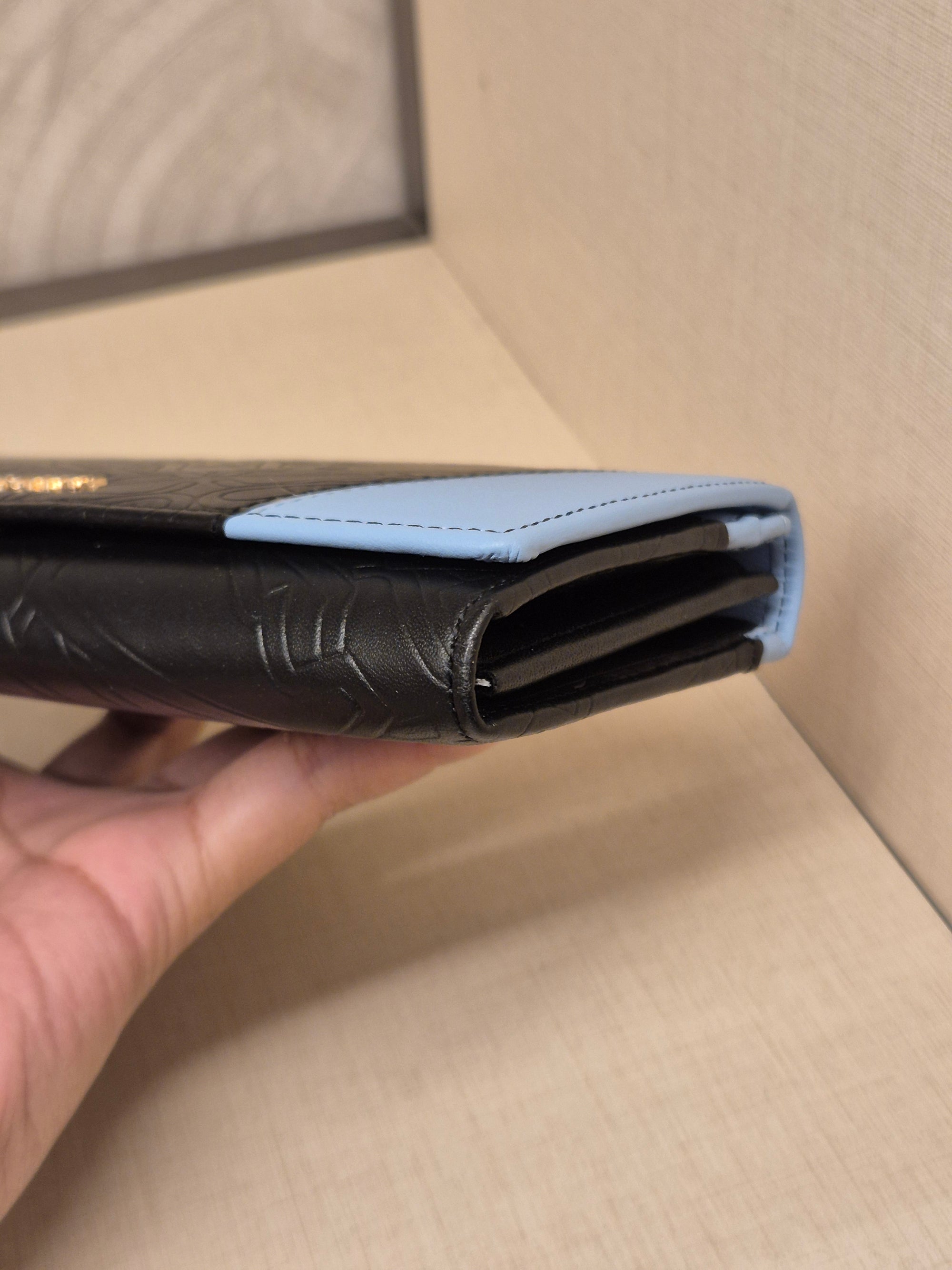 Braun Buffel Long Wallet