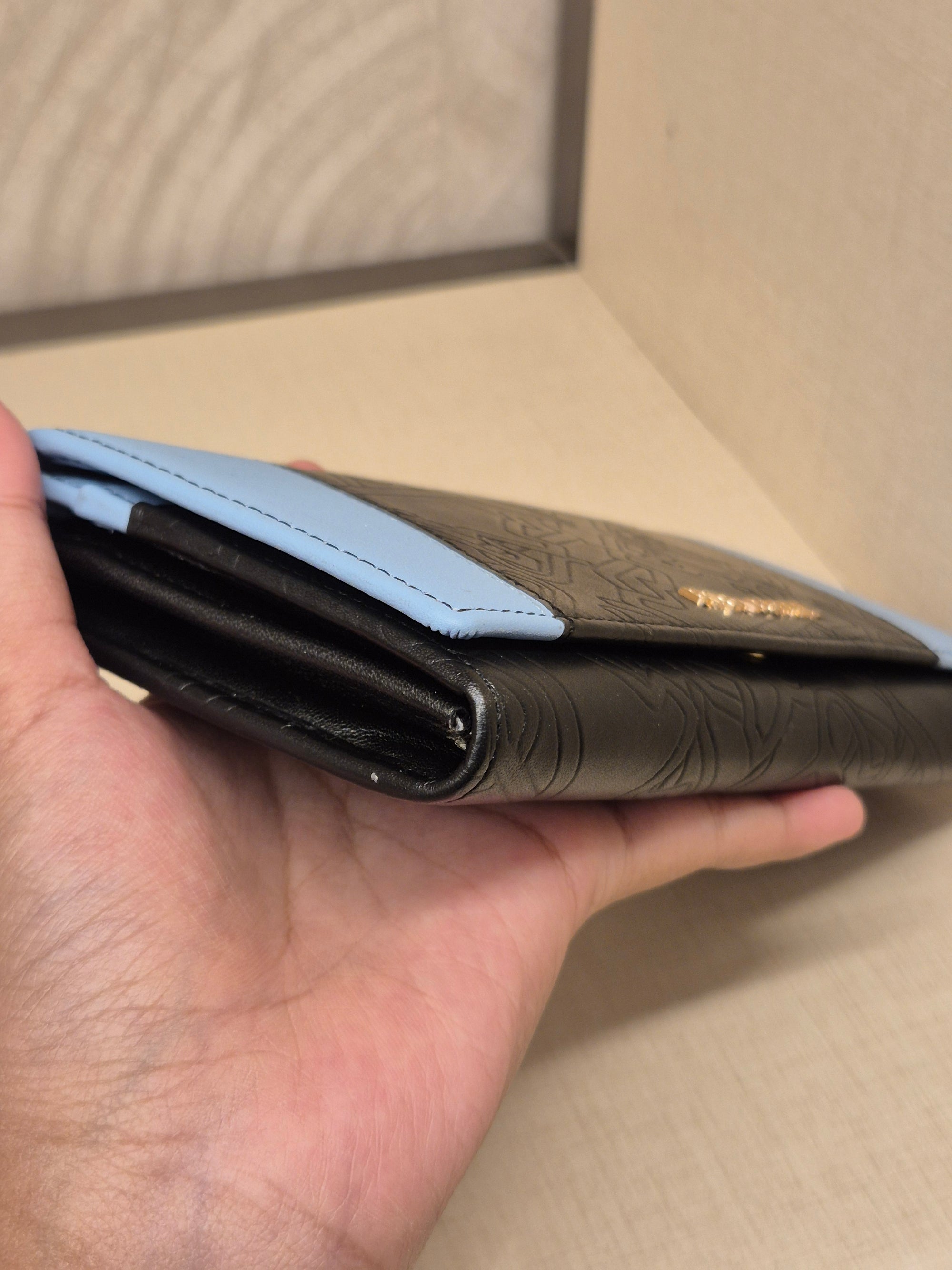 Braun Buffel Long Wallet