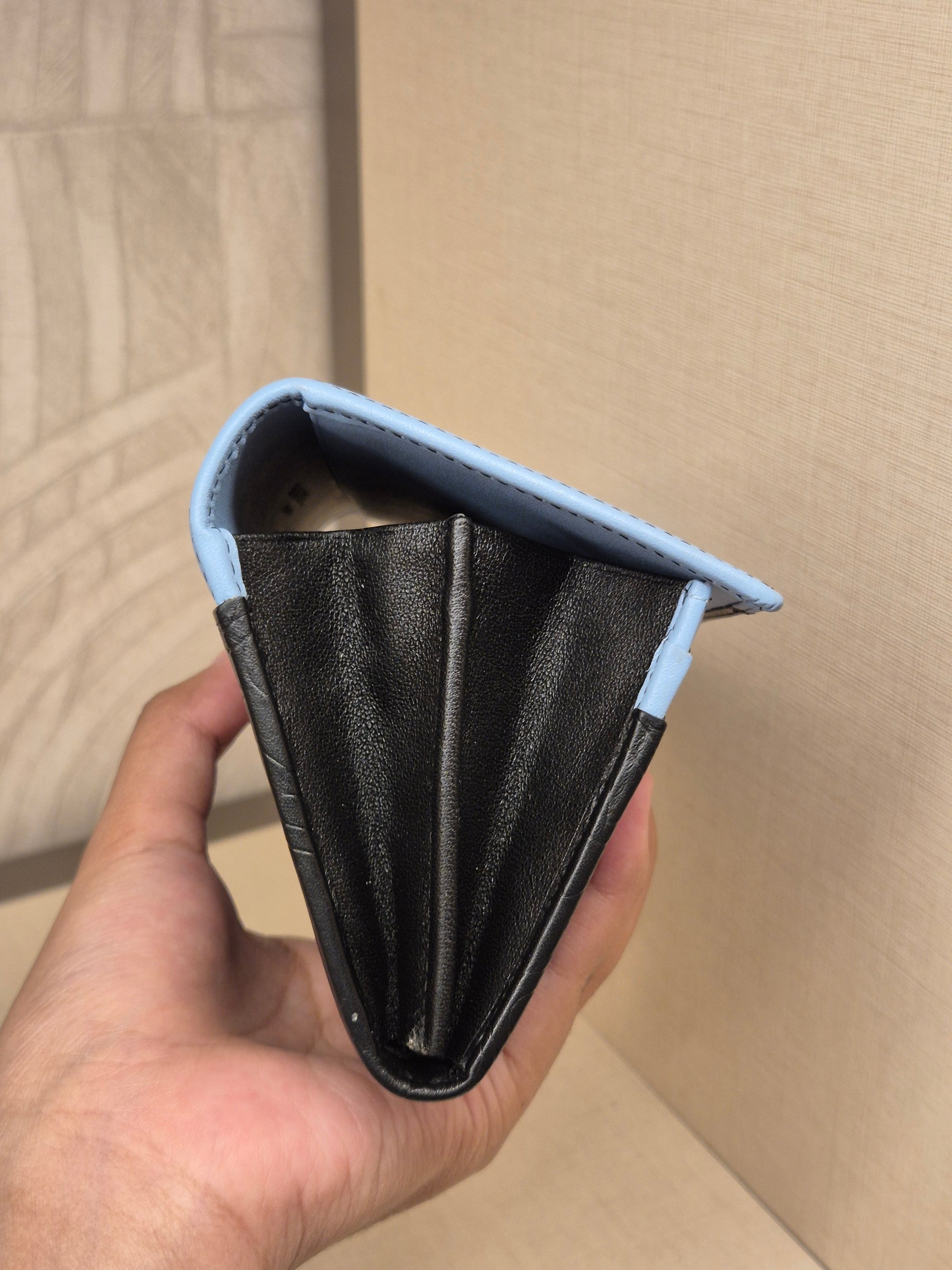 Braun Buffel Long Wallet