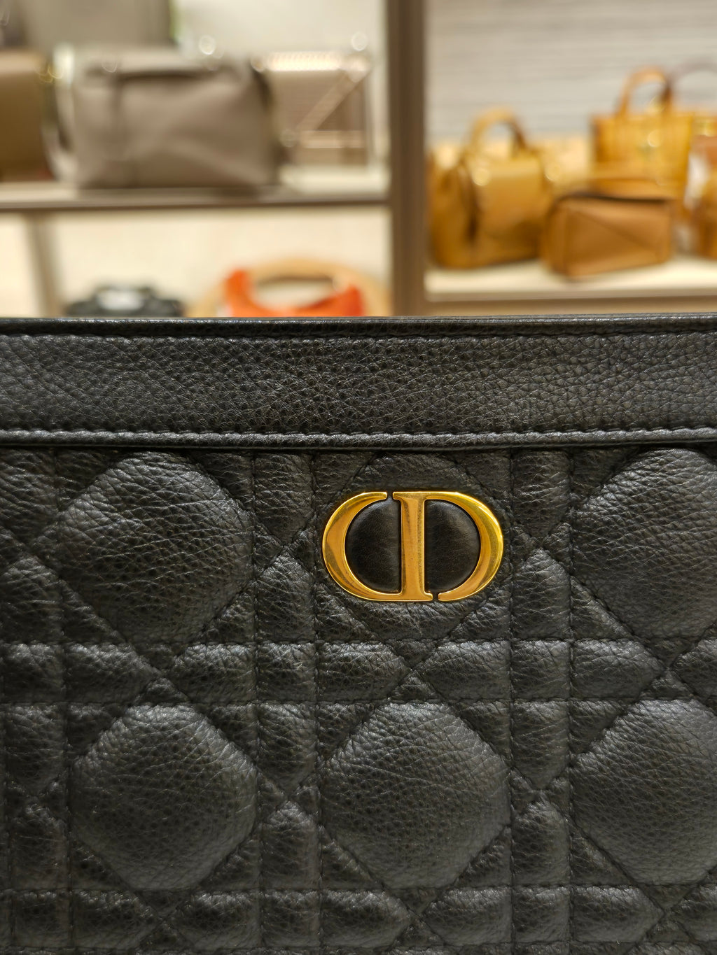 Dior Caro Zip Pouch