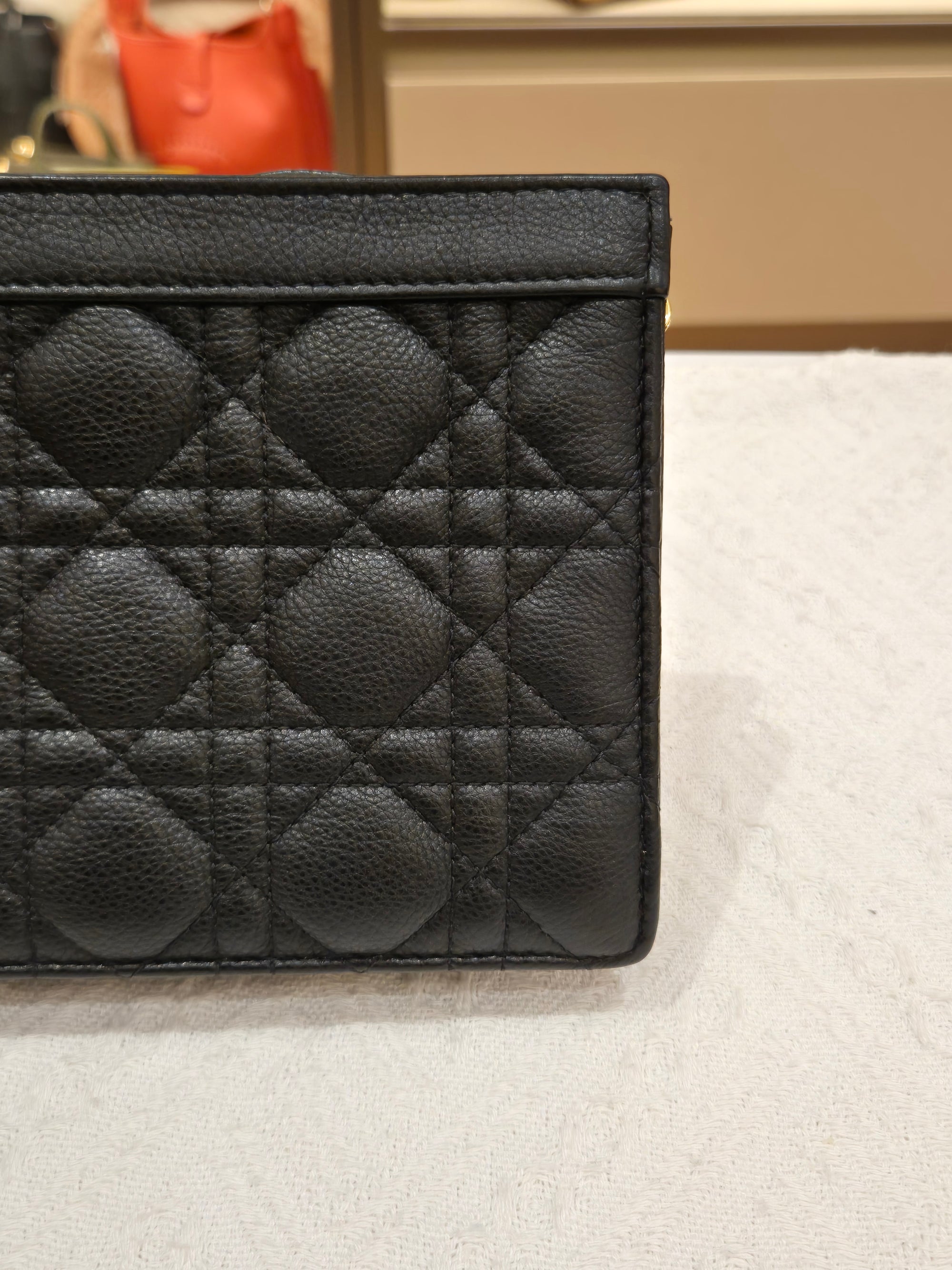 Dior Caro Zip Pouch