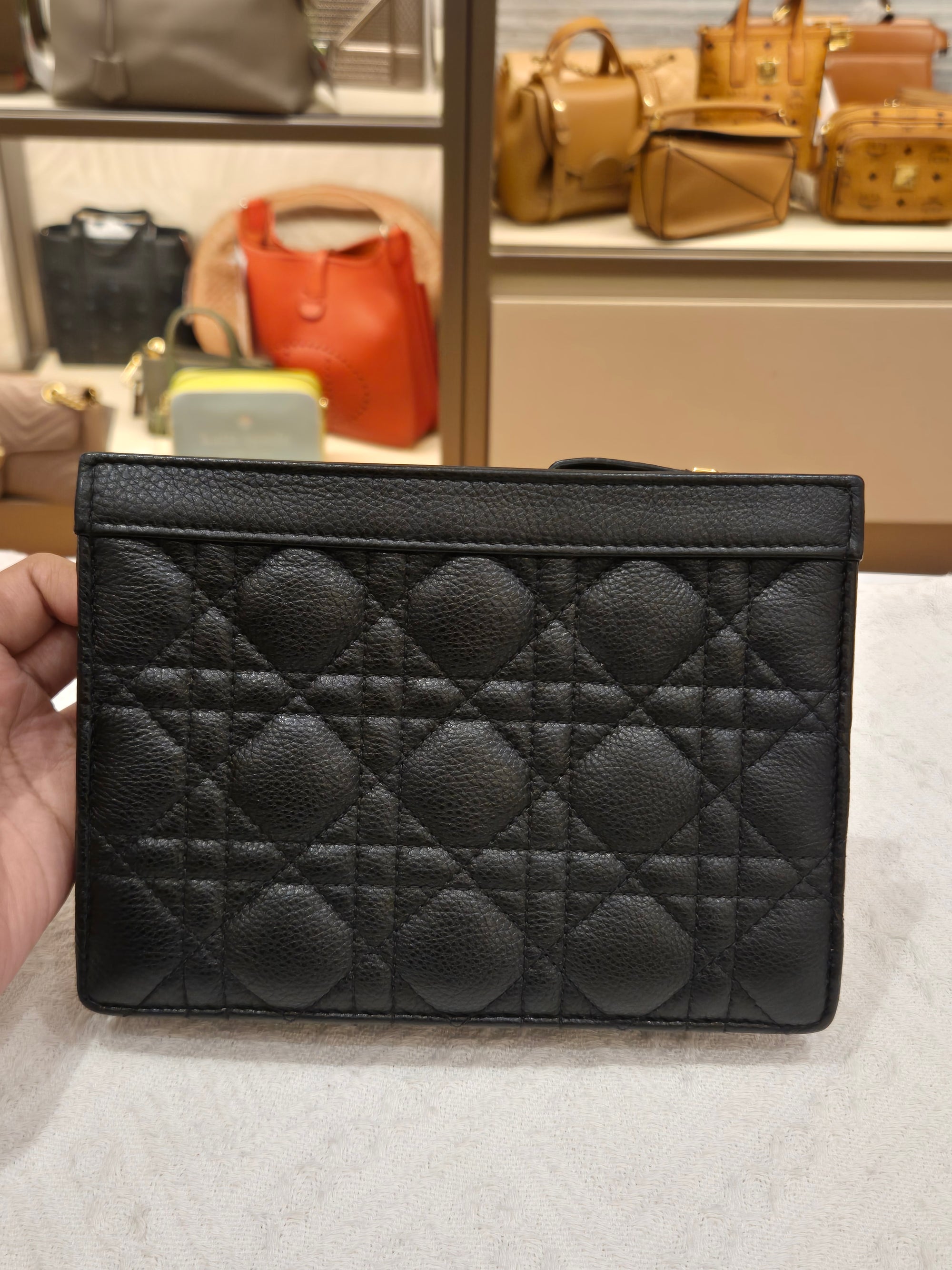 Dior Caro Zip Pouch