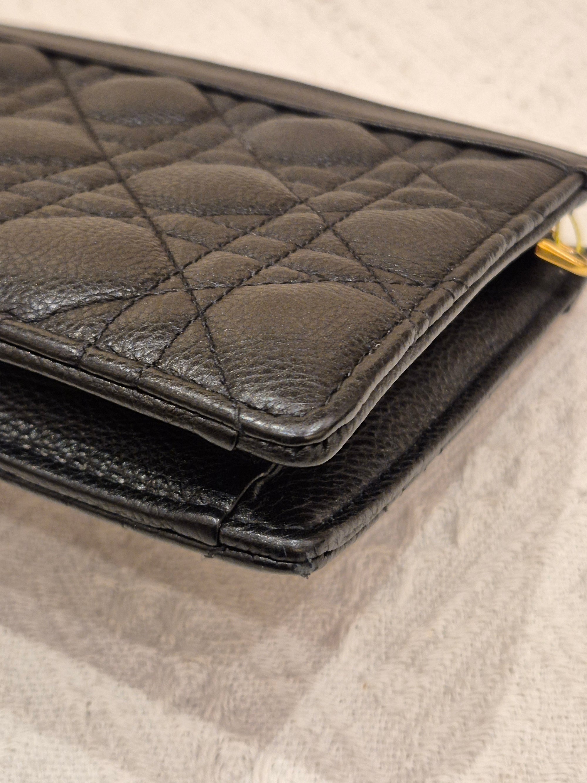 Dior Caro Zip Pouch