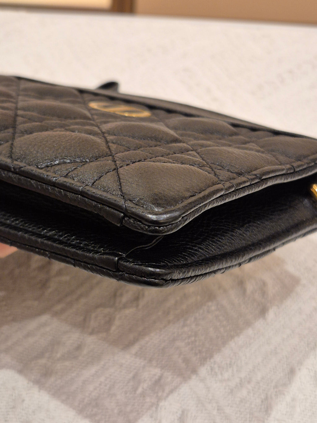 Dior Caro Zip Pouch