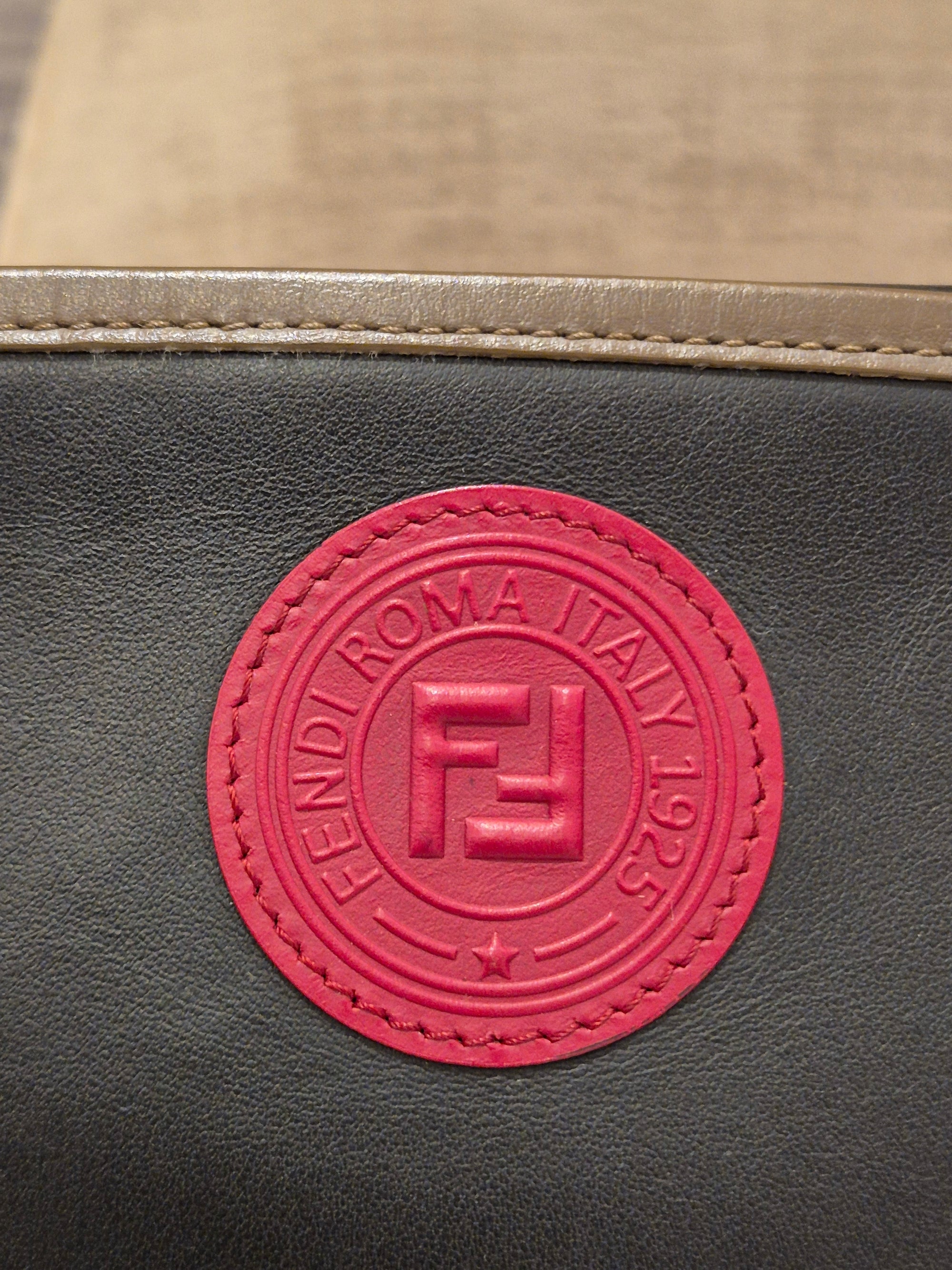 Fendi Camera Bag