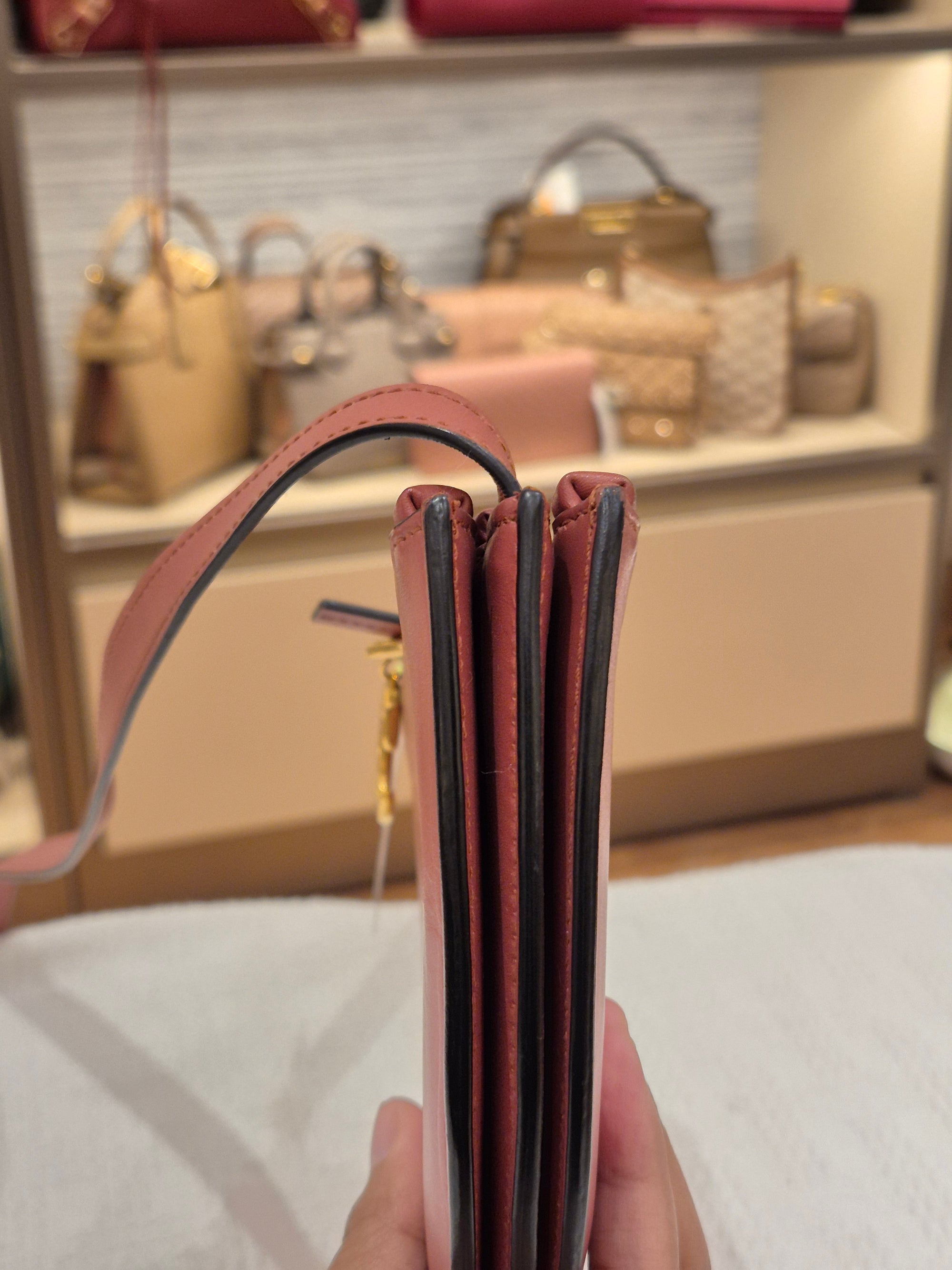 Dior Saddle Trio