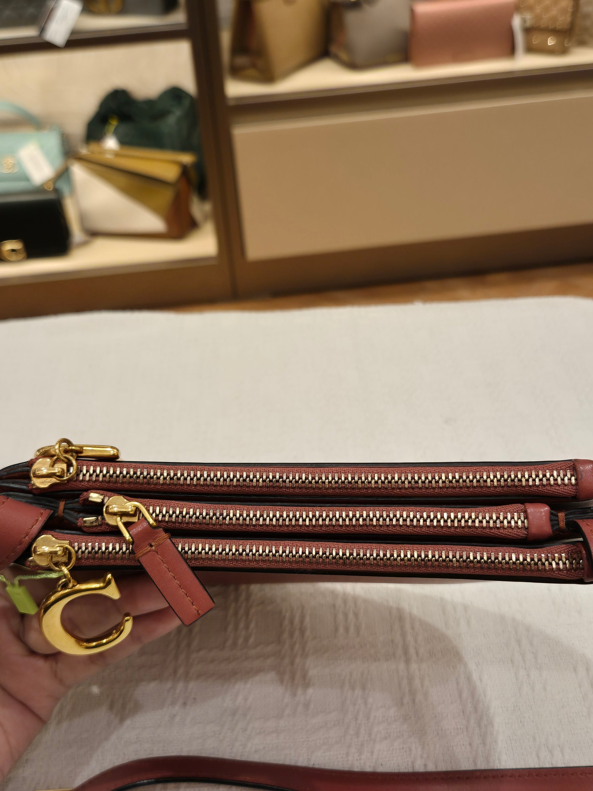 Dior Saddle Trio