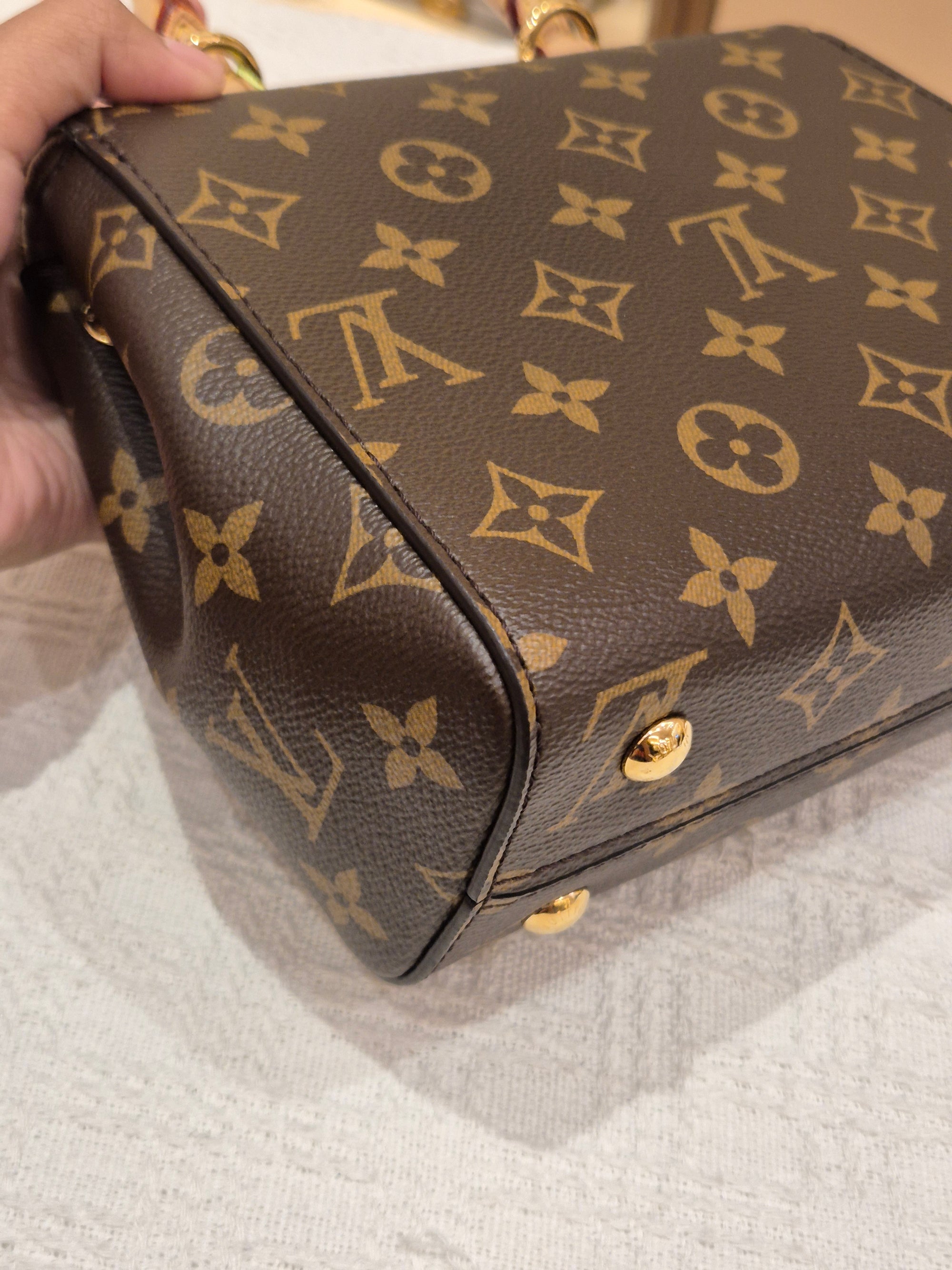 Louis Vuitton Mini Clunny monogram