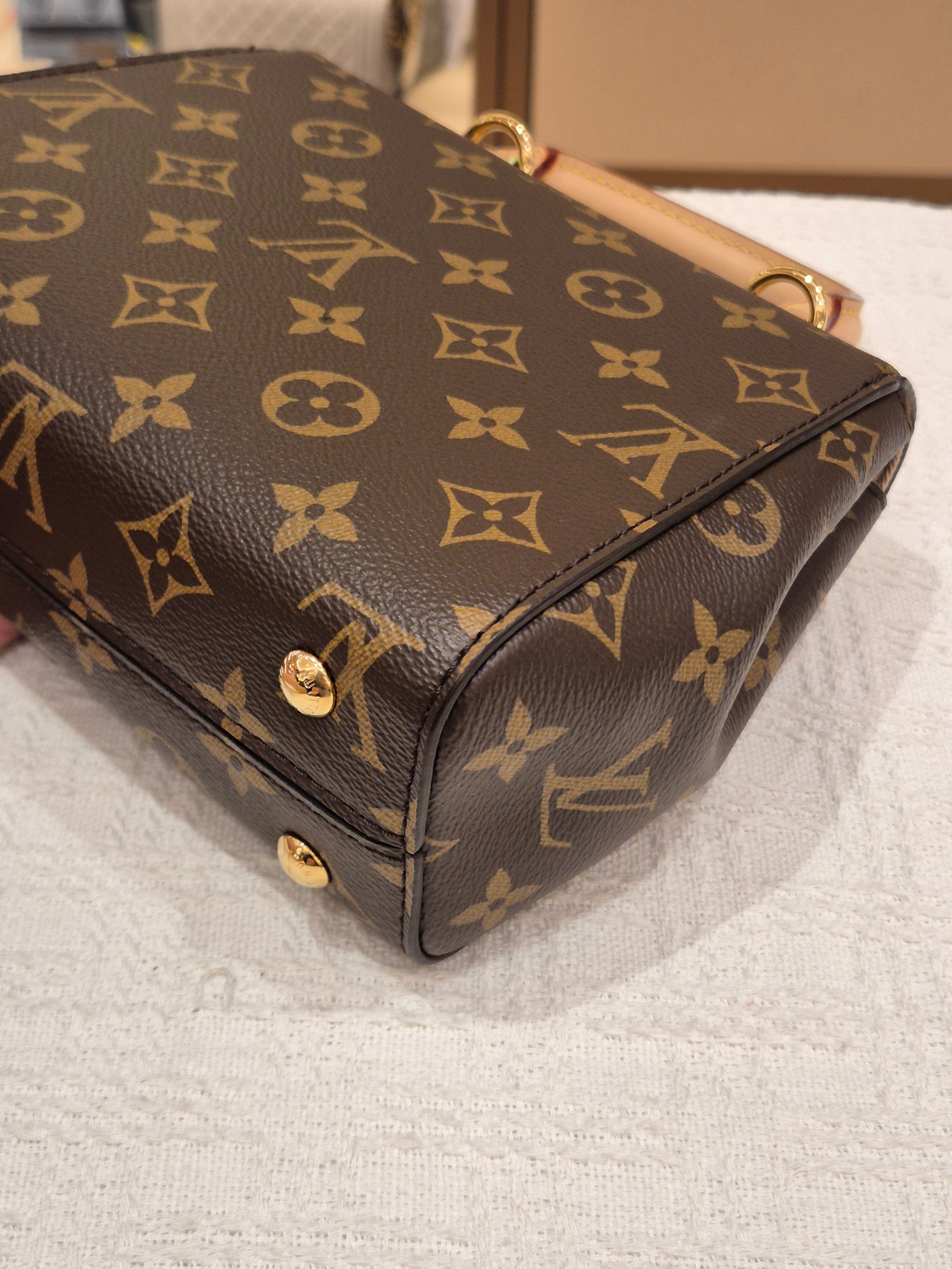Louis Vuitton Mini Clunny monogram