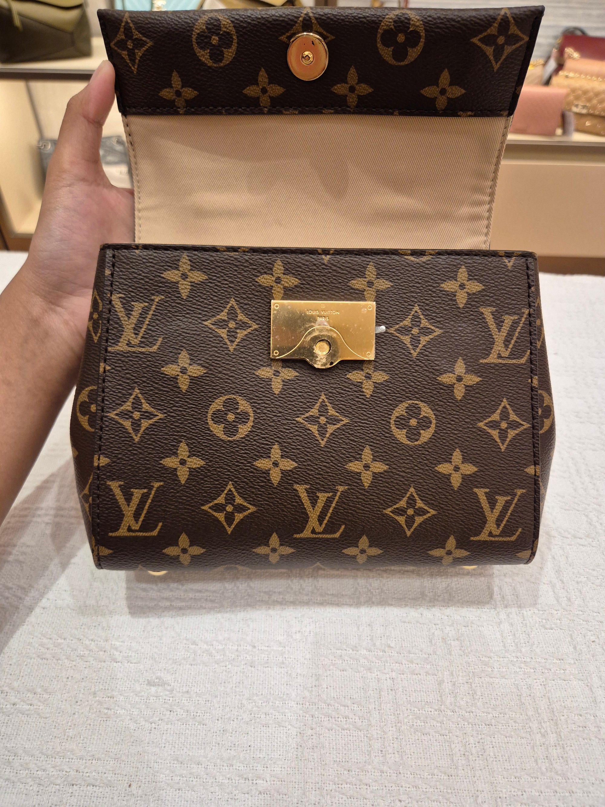 Louis Vuitton Mini Clunny monogram