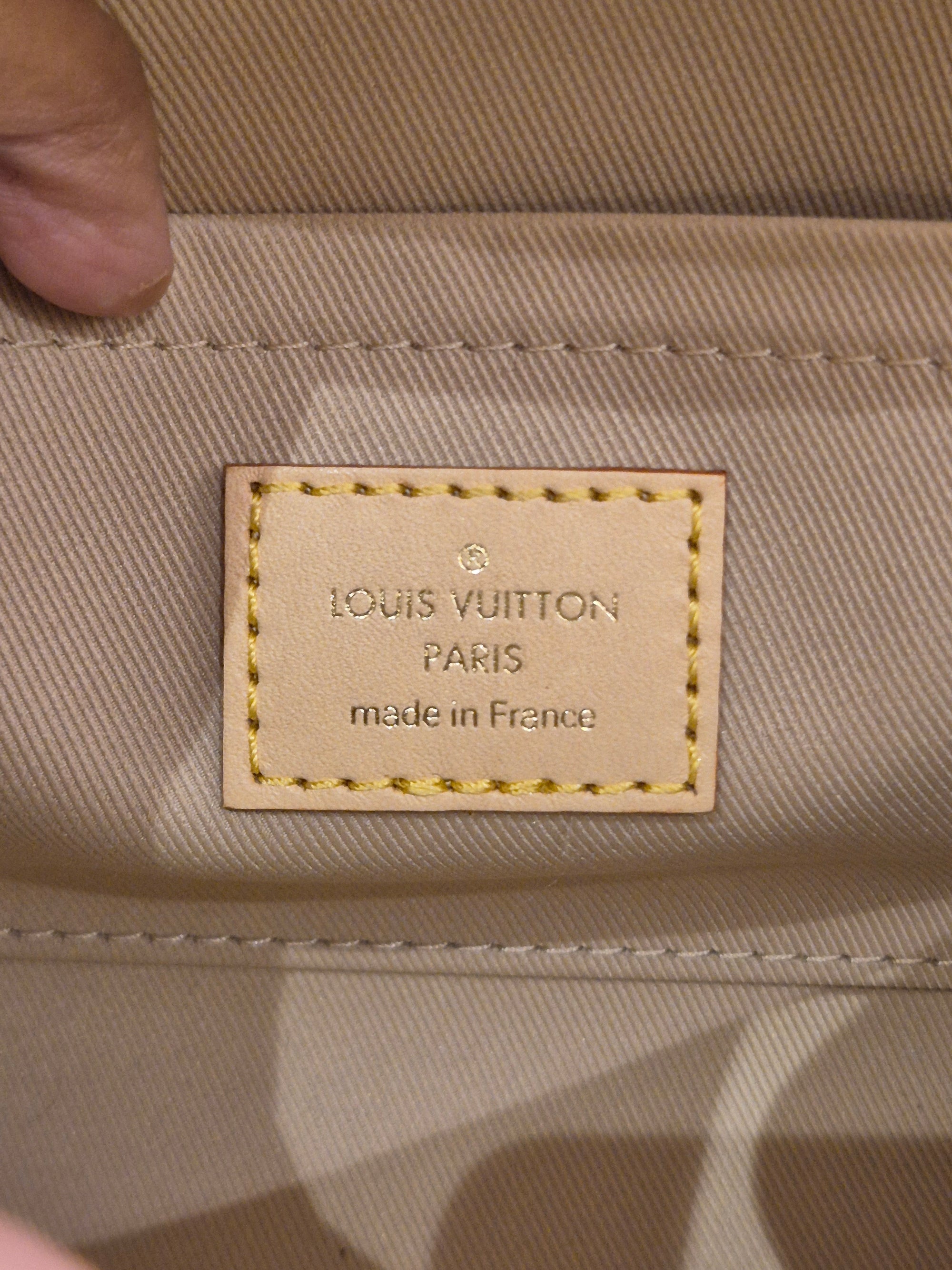 Louis Vuitton Mini Clunny monogram