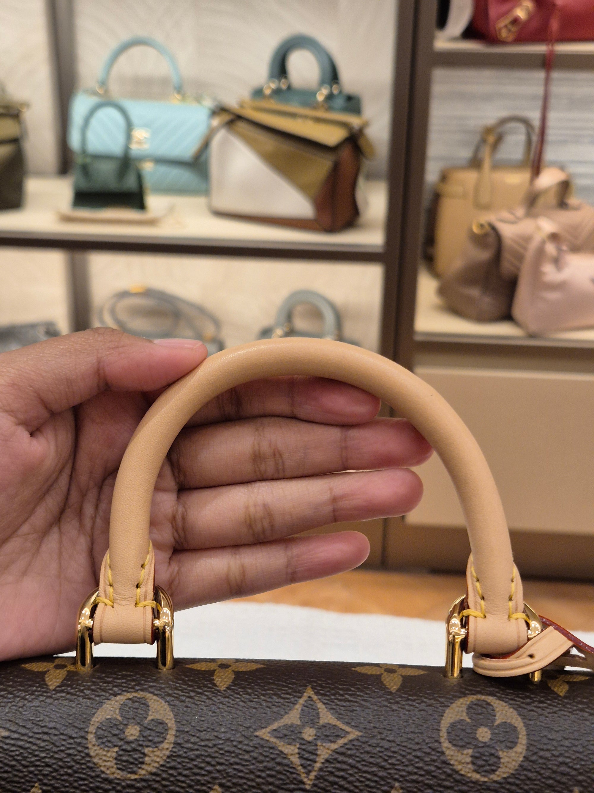 Louis Vuitton Mini Clunny monogram
