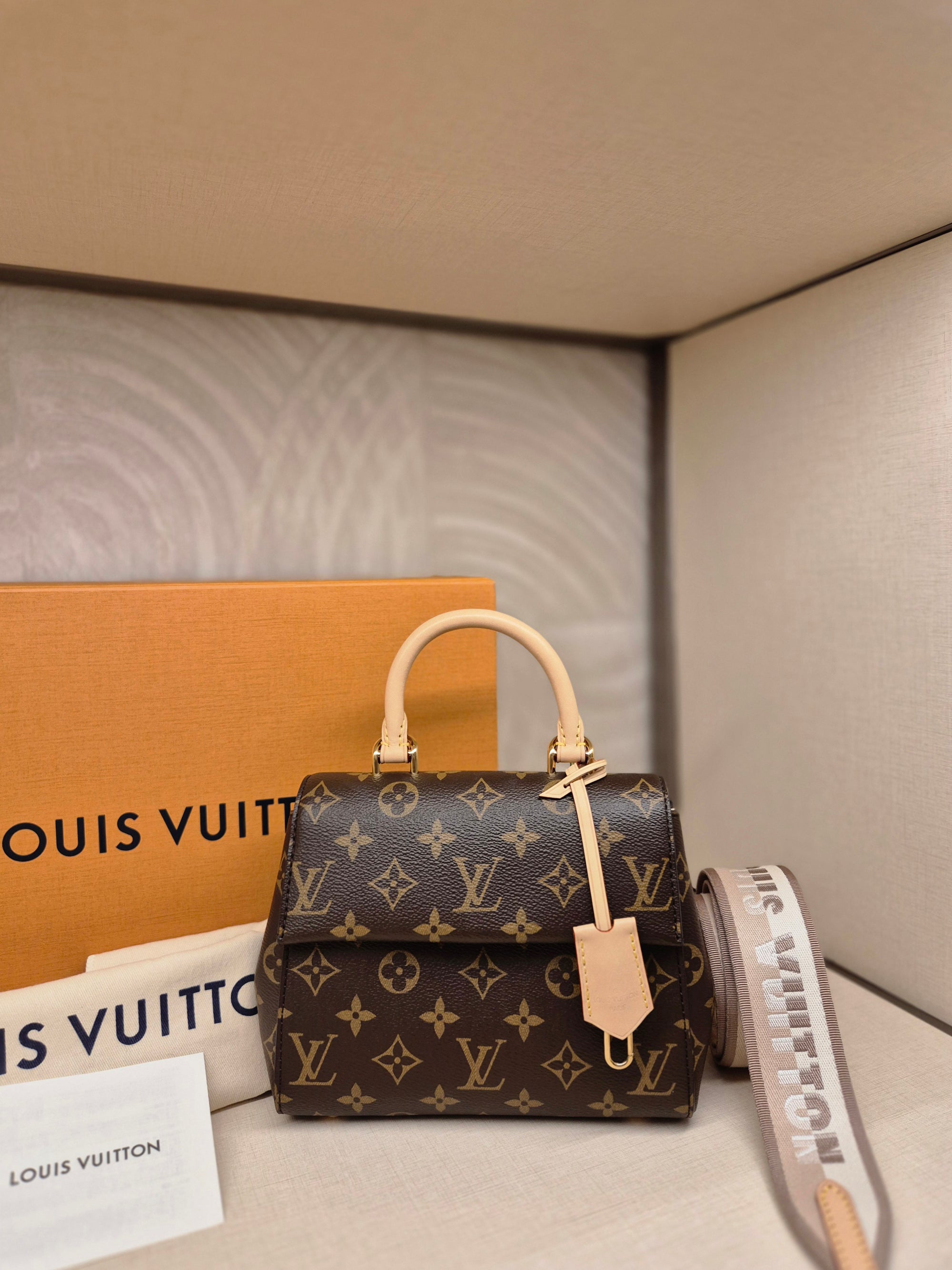 Louis Vuitton Mini Clunny monogram