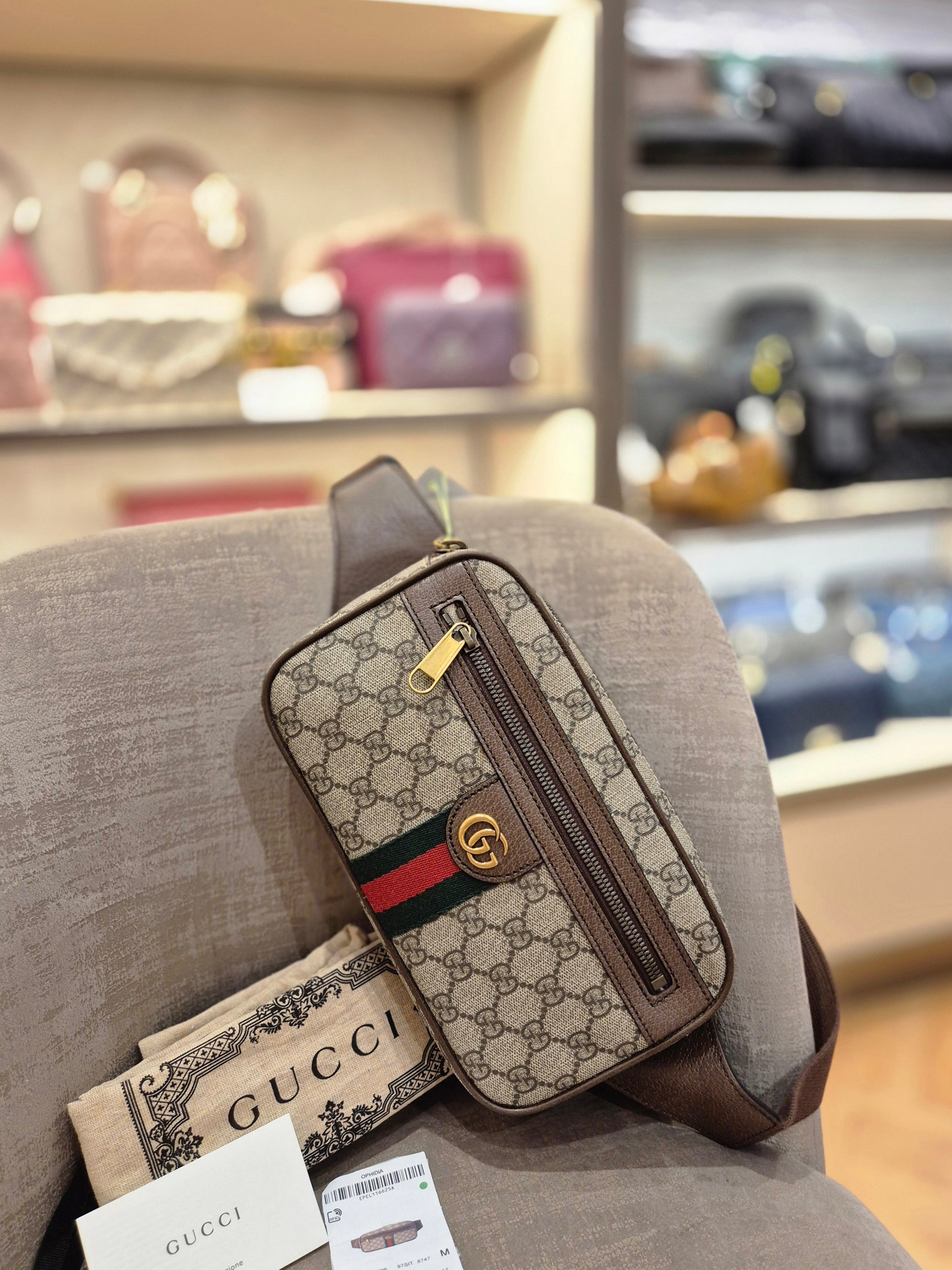 Gucci Bumbag Monogram