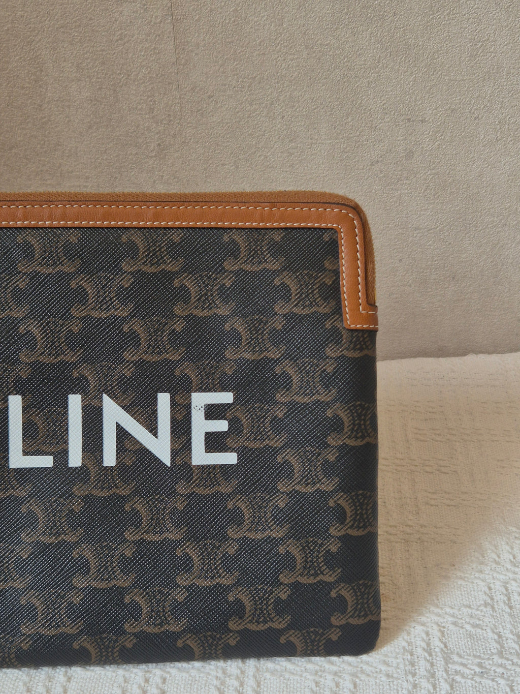 Celine Pouch Triomphe