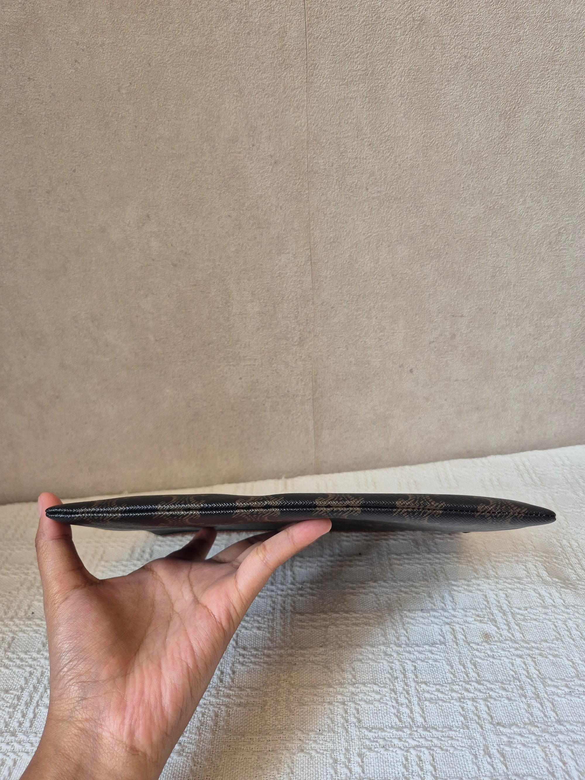 Celine Pouch Triomphe