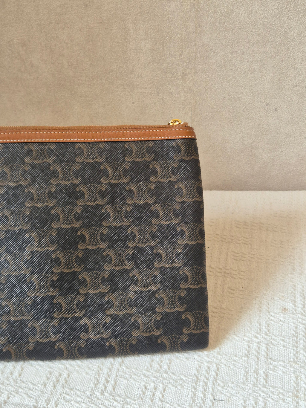 Celine Pouch Triomphe