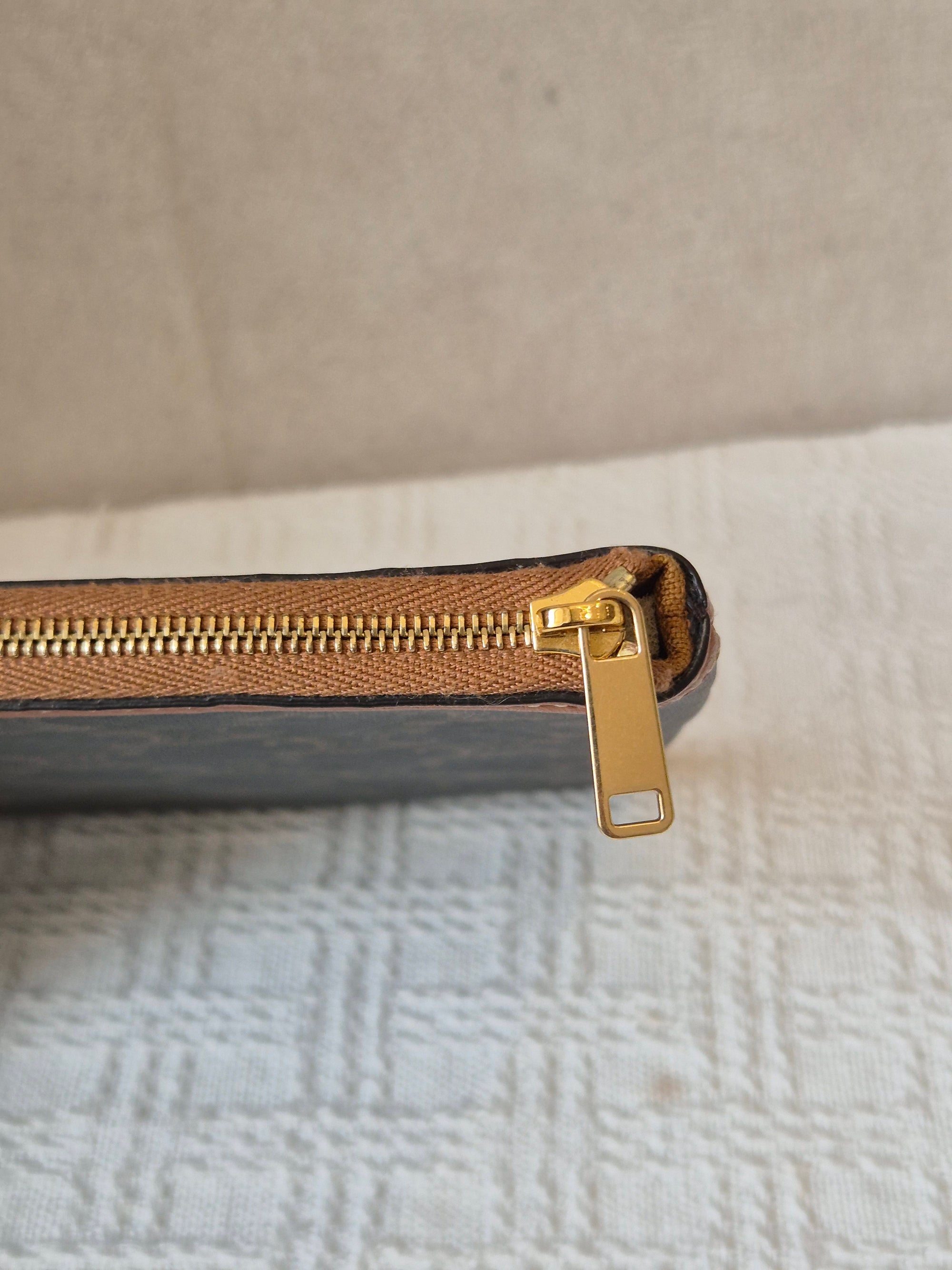 Celine Pouch Triomphe