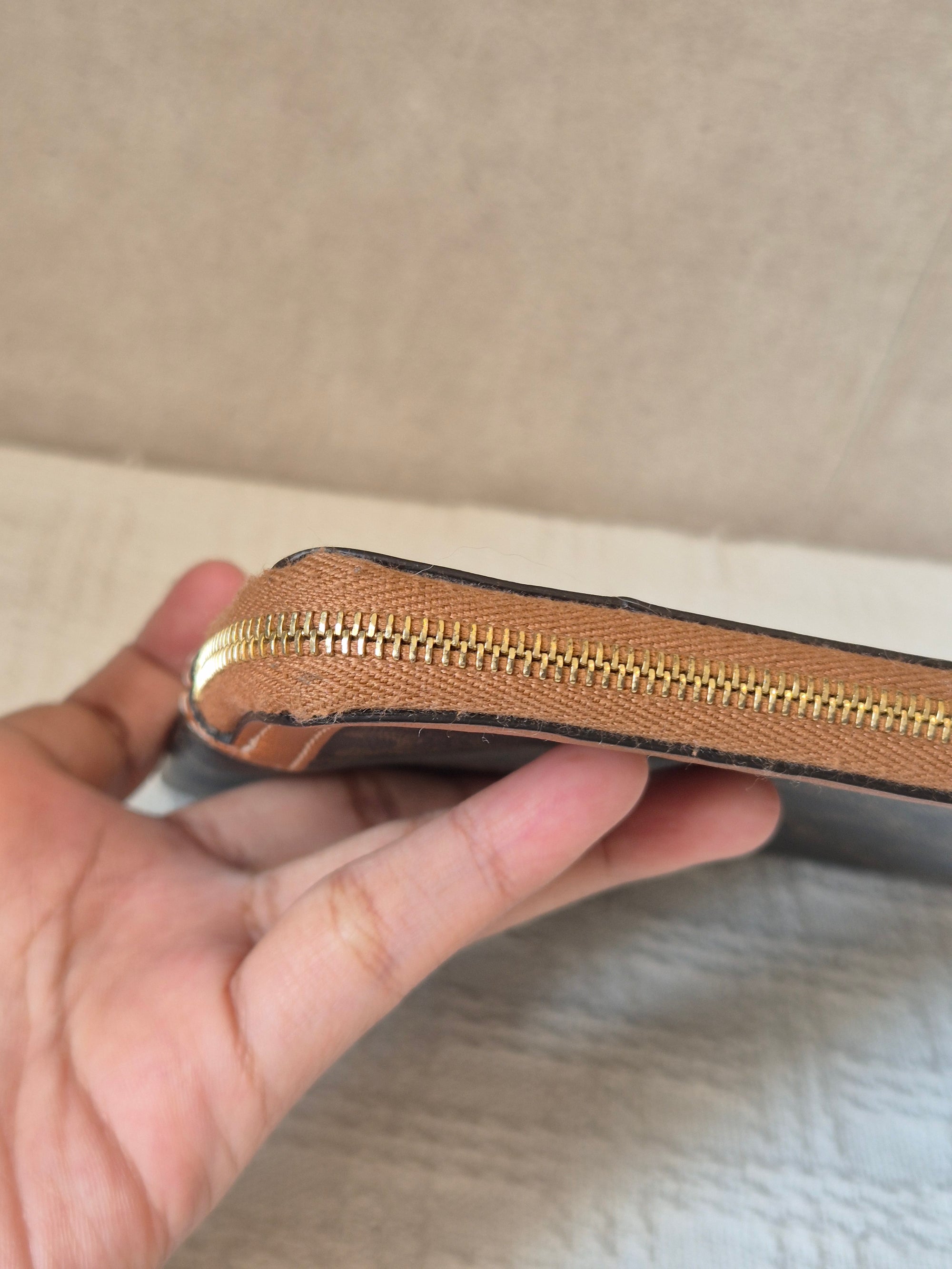Celine Pouch Triomphe