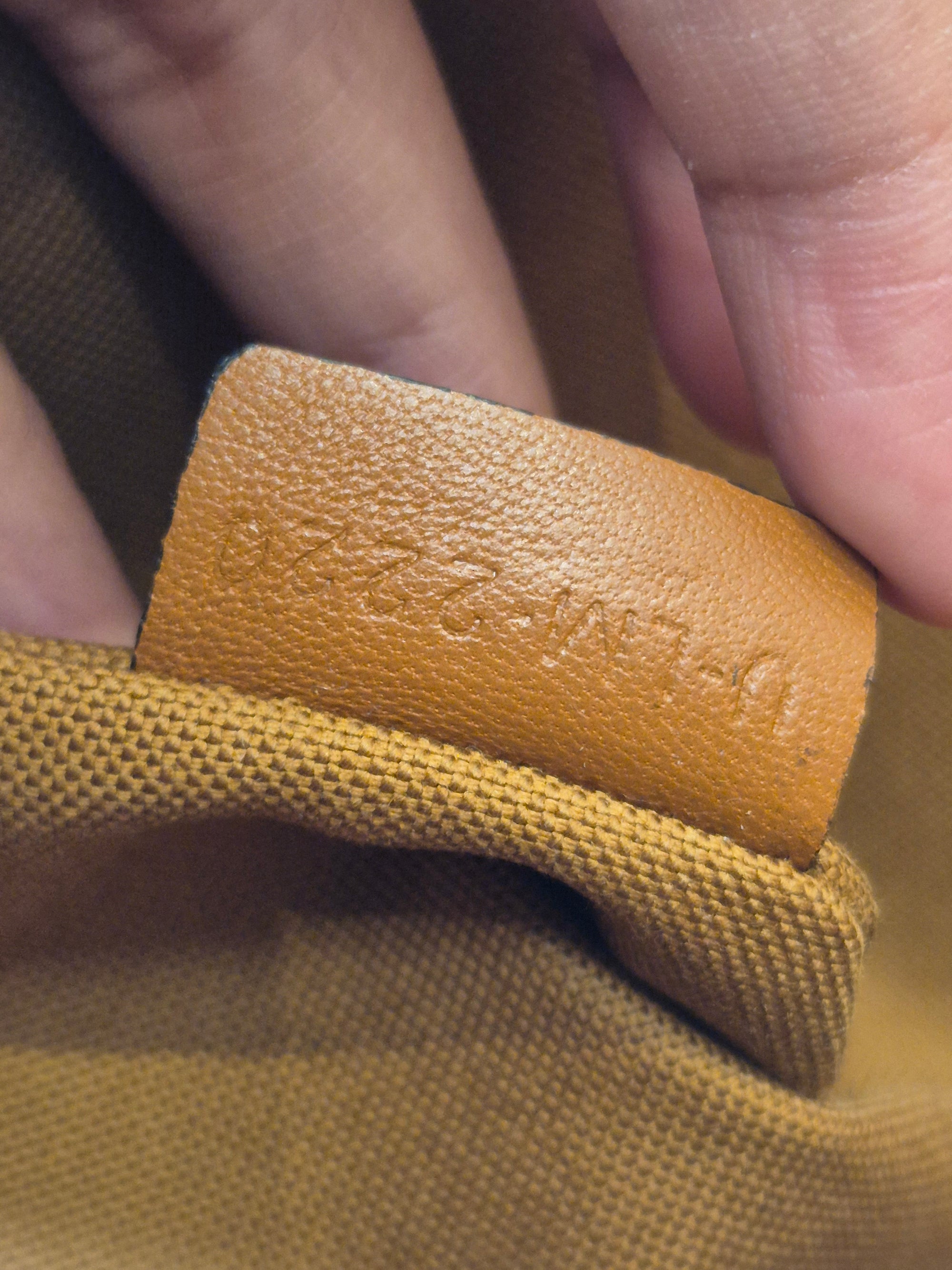Celine Pouch Triomphe