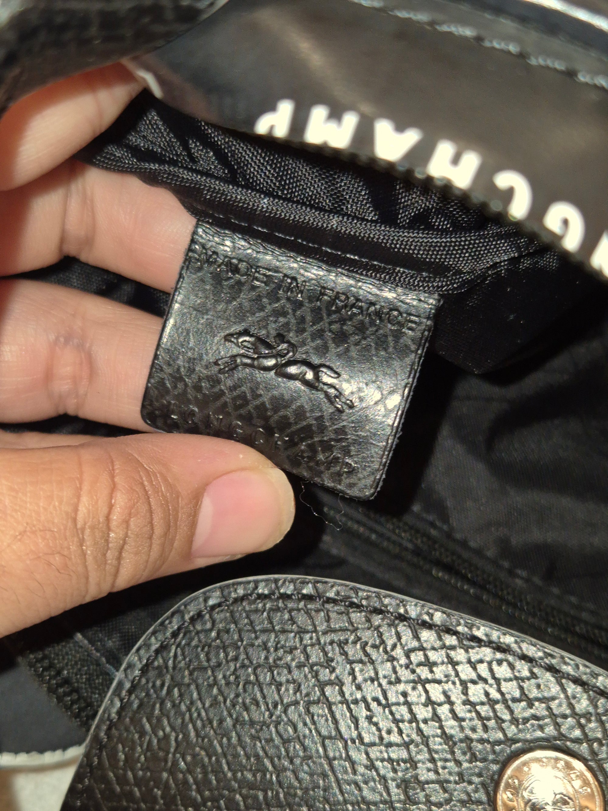 Longchamp Alpin Puffy